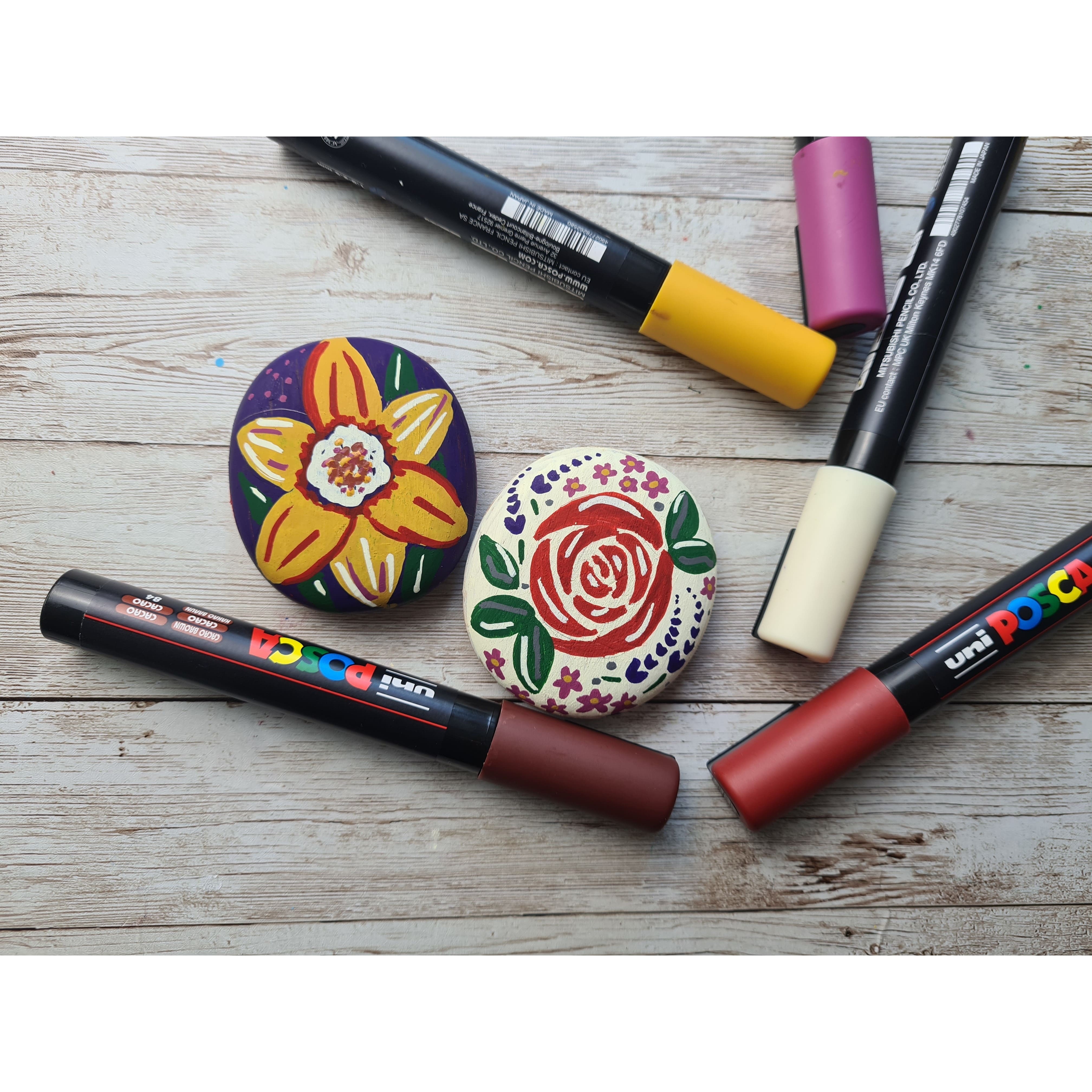 POSCA PC-5M Medium Tip Dark Colour Paint Marker Set