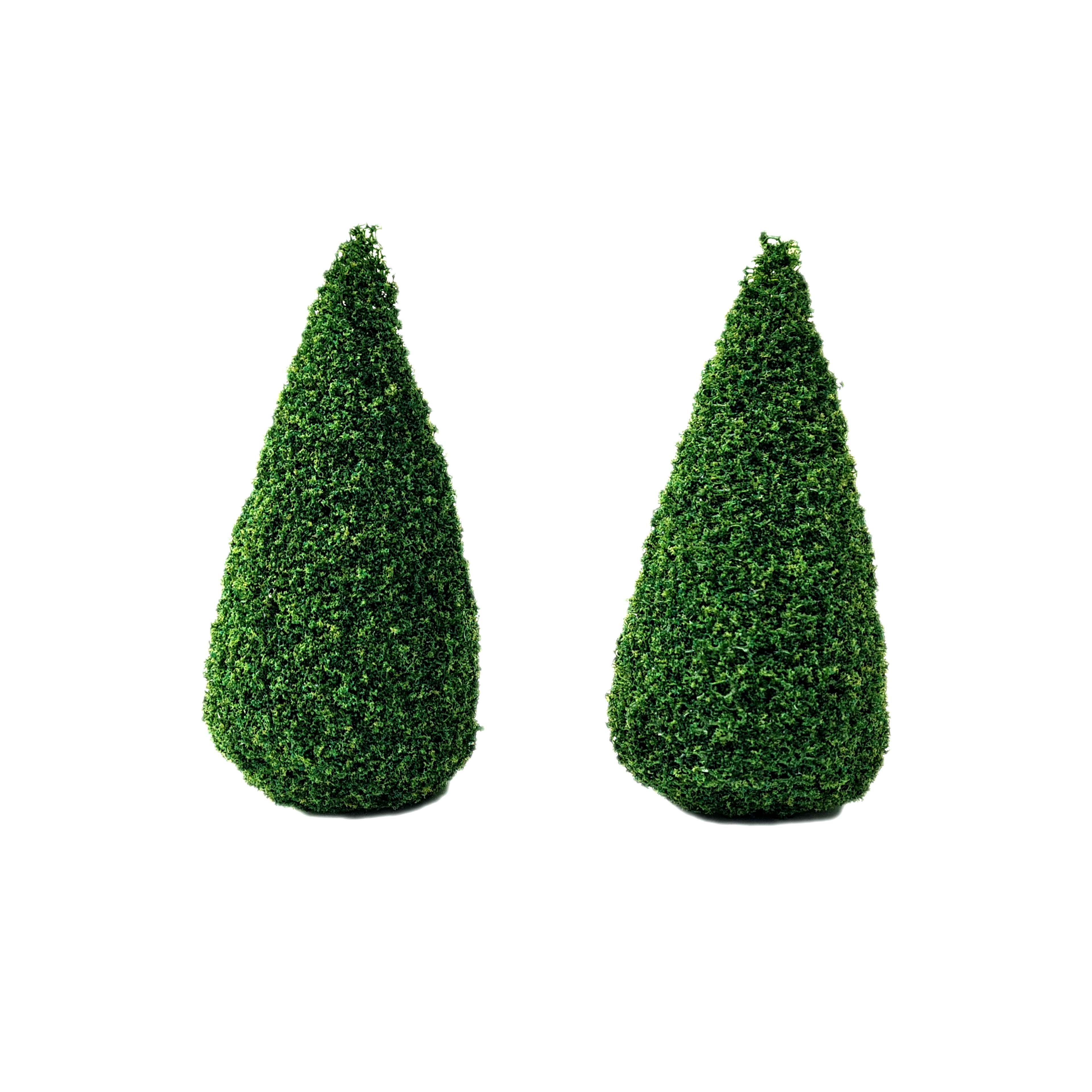 Miniature Boxwood Shrubs, 2ct. by Make Market&#xAE;