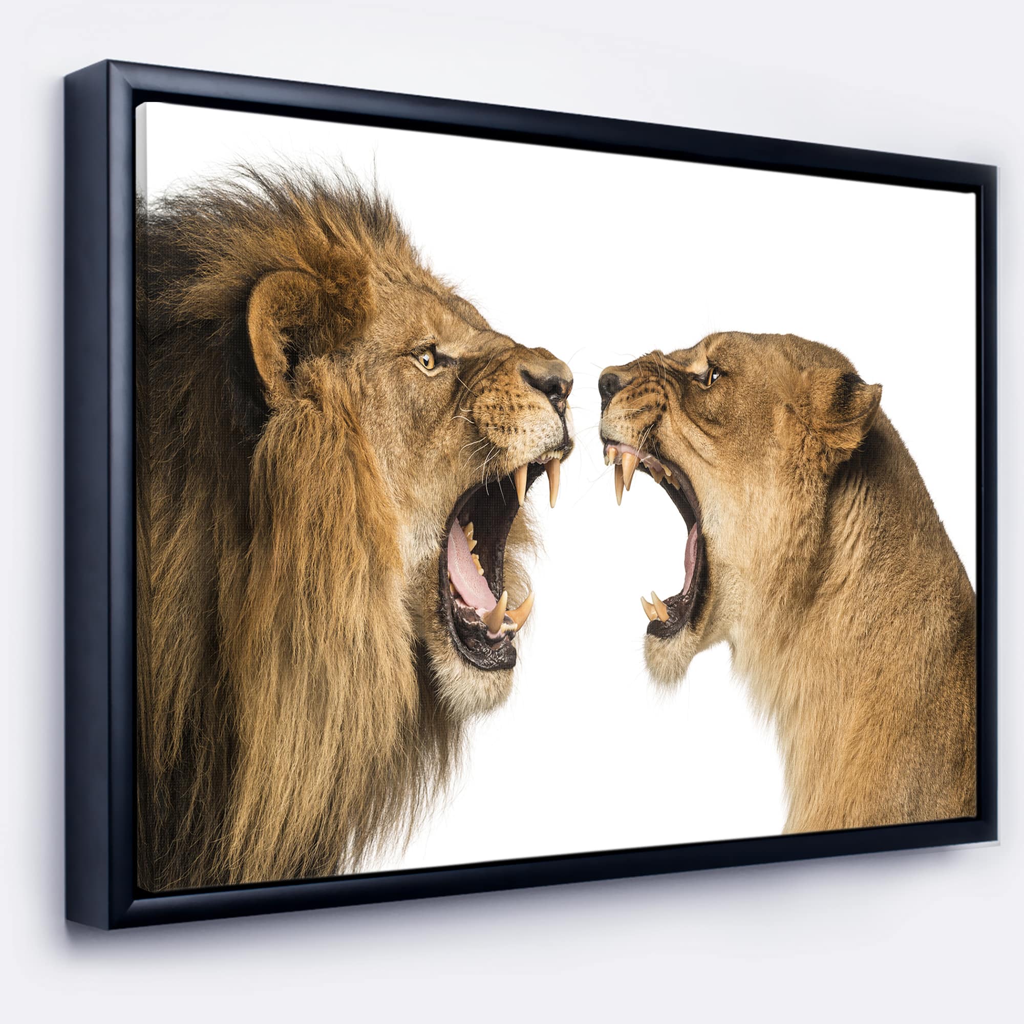 Designart - Lion and Lioness Roaring - Abstract Canvas Art Print in Black Frame