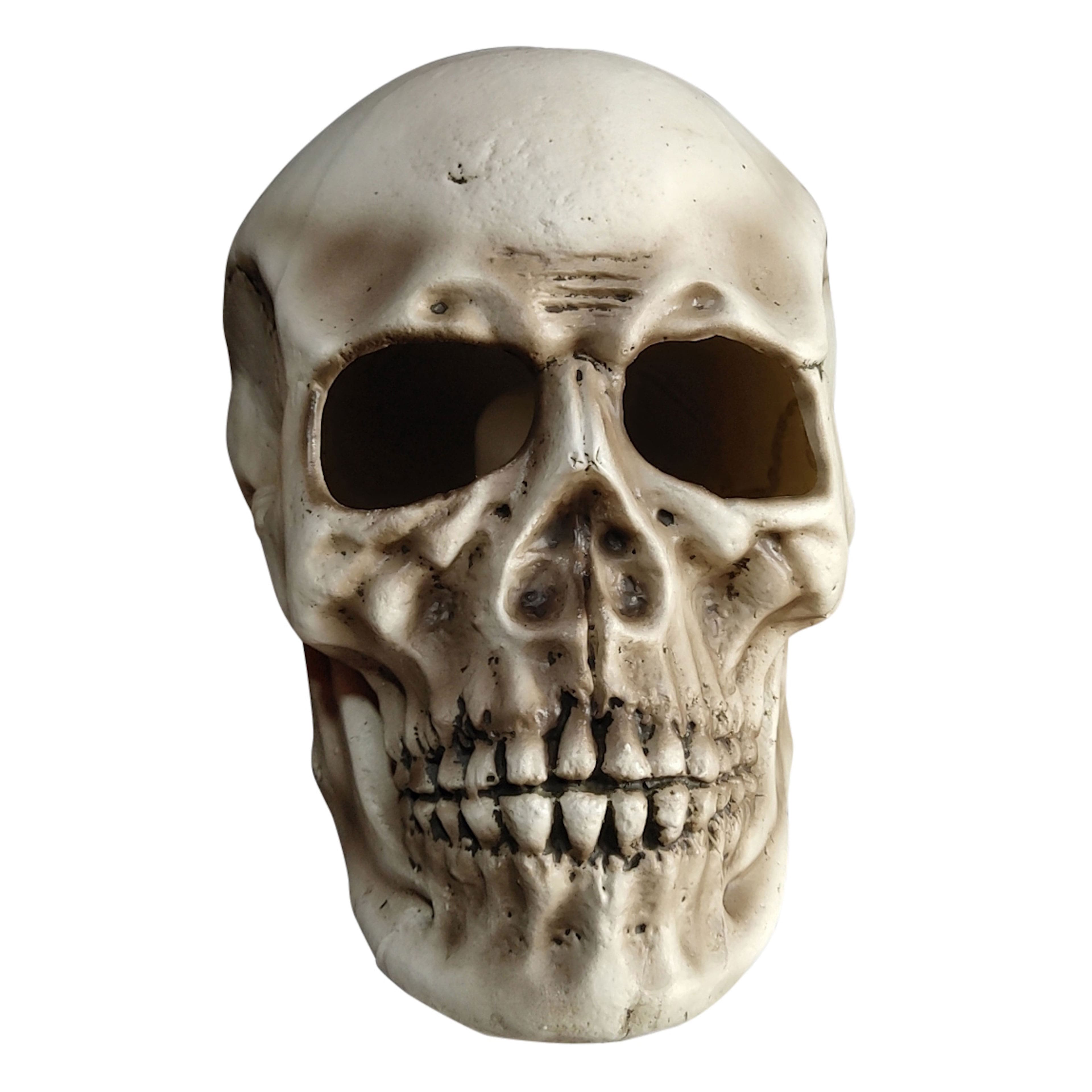 10.5&#x22; LED Skull by Ashland&#xAE;