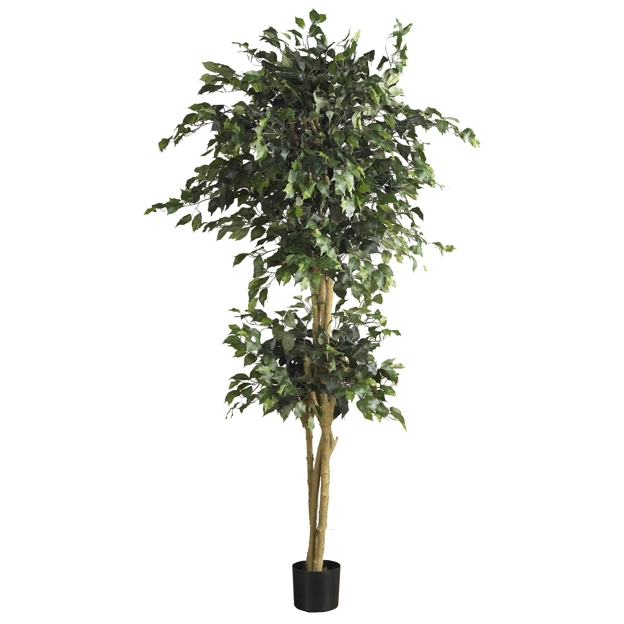 6Ft Potted Double Ball Ficus Silk Tree By Nearly Natural | Michaels®