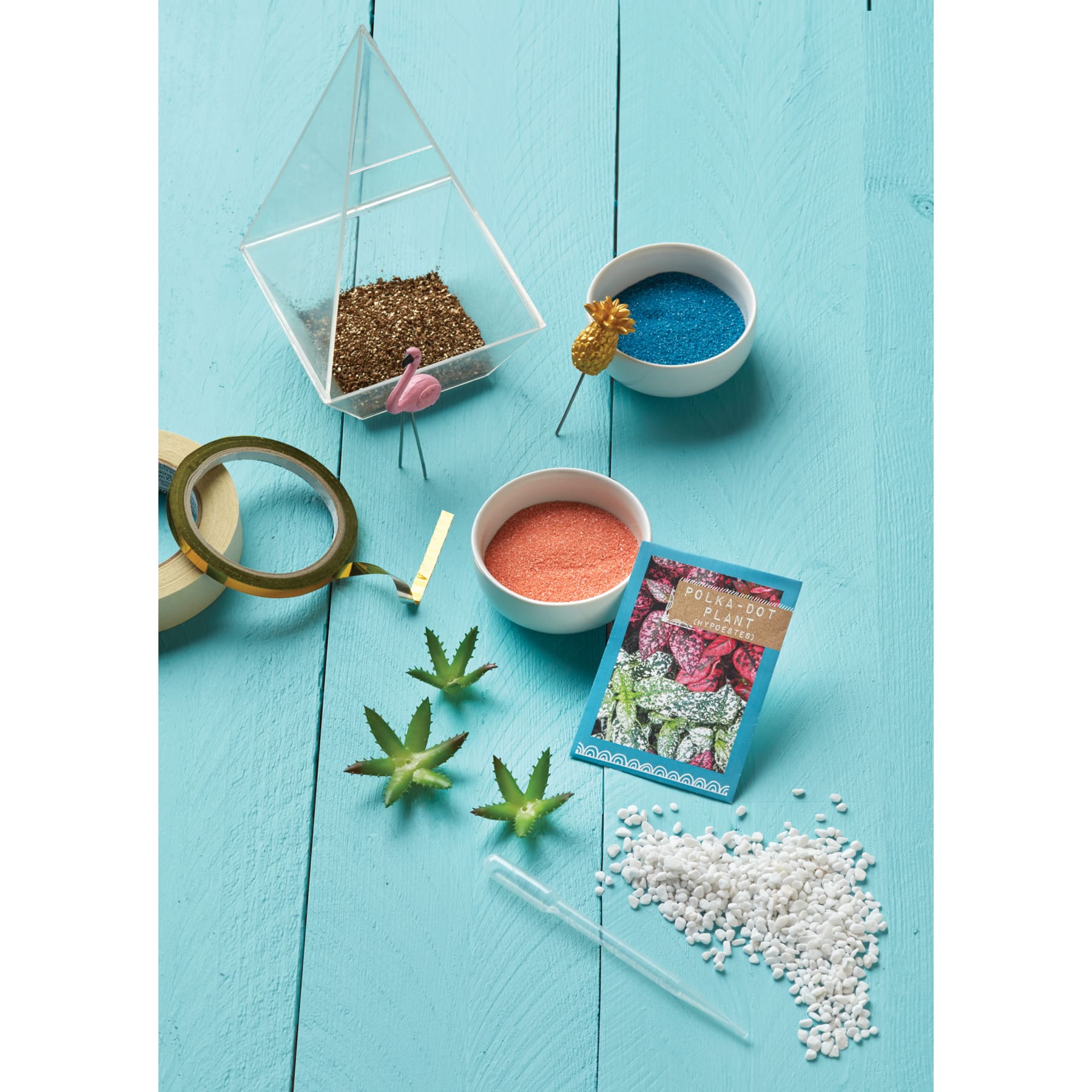 Faber-Castell Craftivity Tropical Terrarium