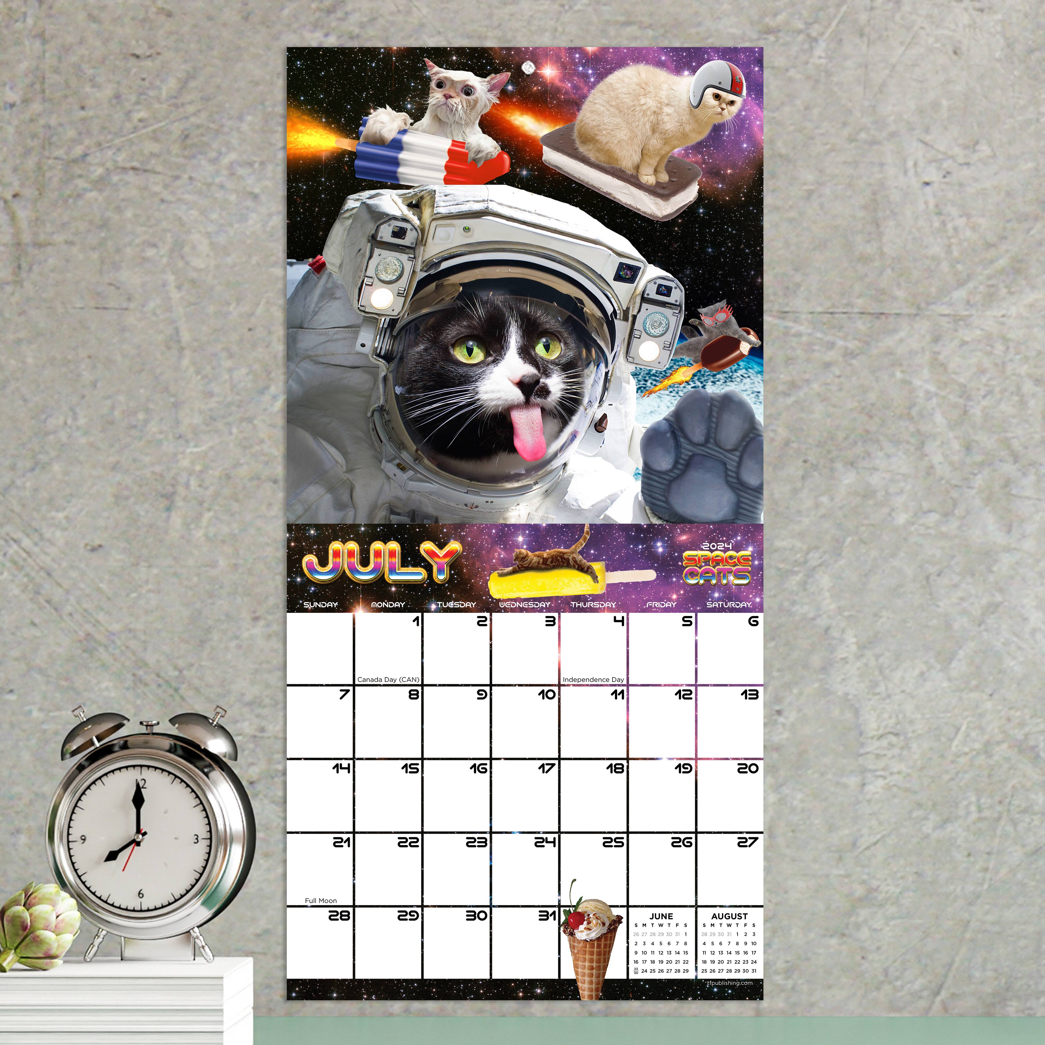 TF Publishing Space Cats Mini Calendar