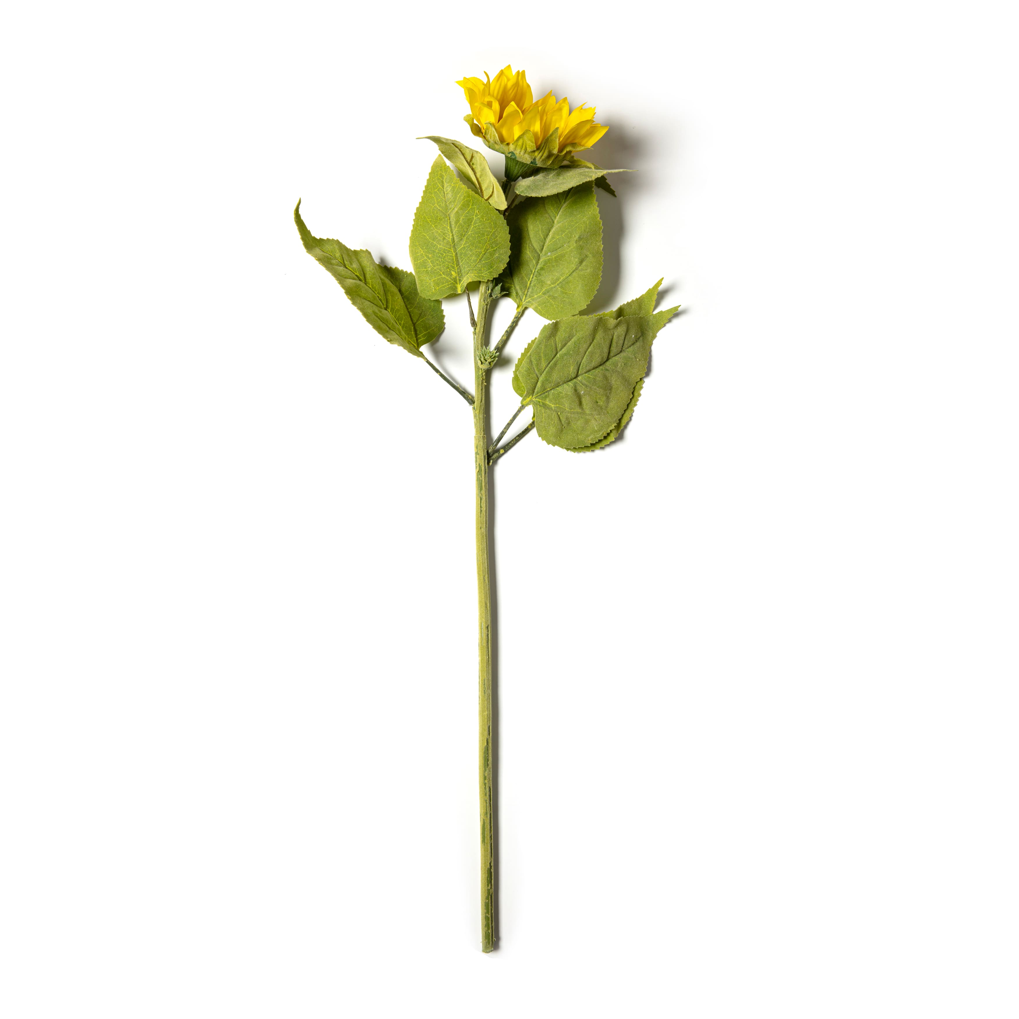 6 Pack: Yellow Sunflower Stem by Ashland&#xAE;