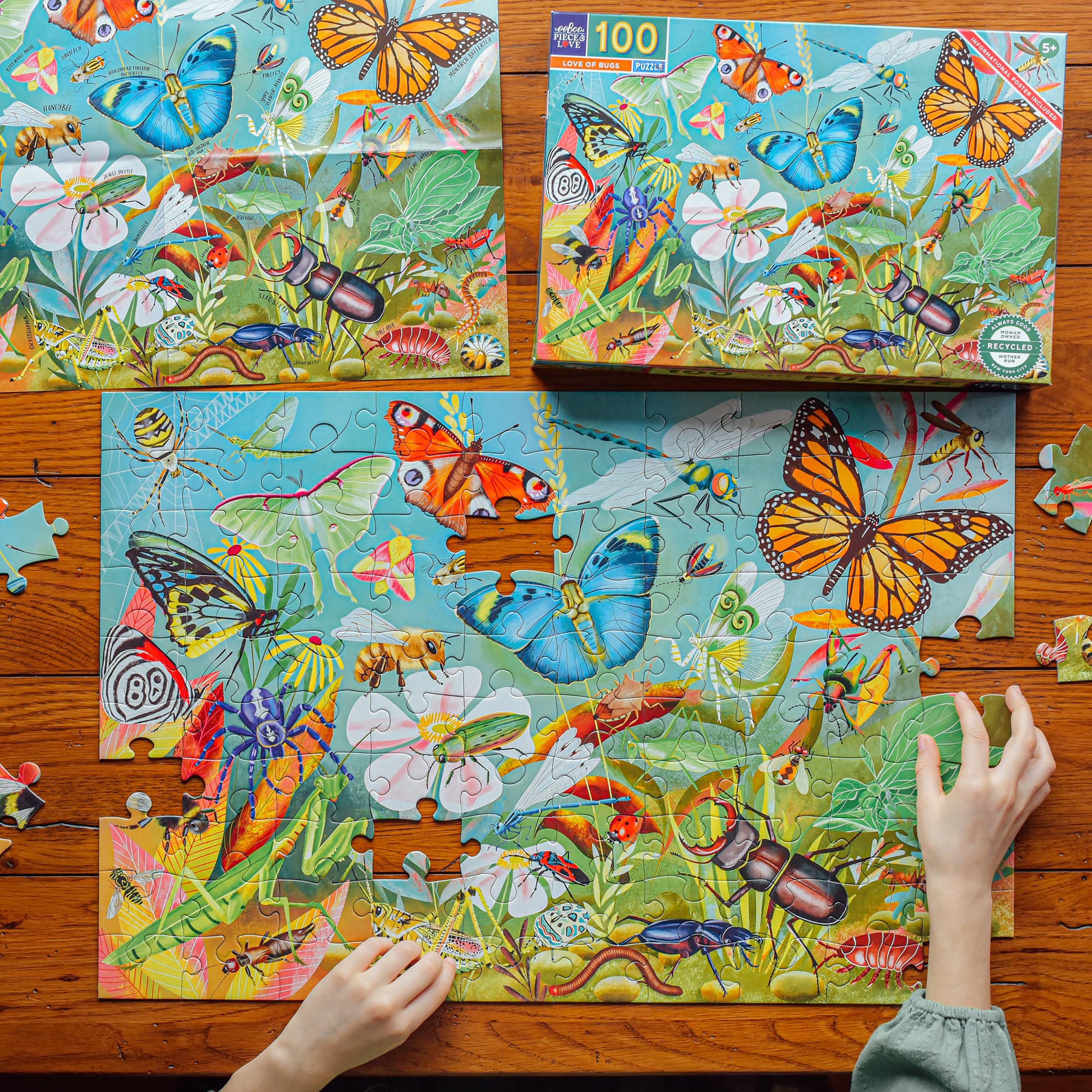 eeBoo Love of Bugs 100 Piece Puzzle