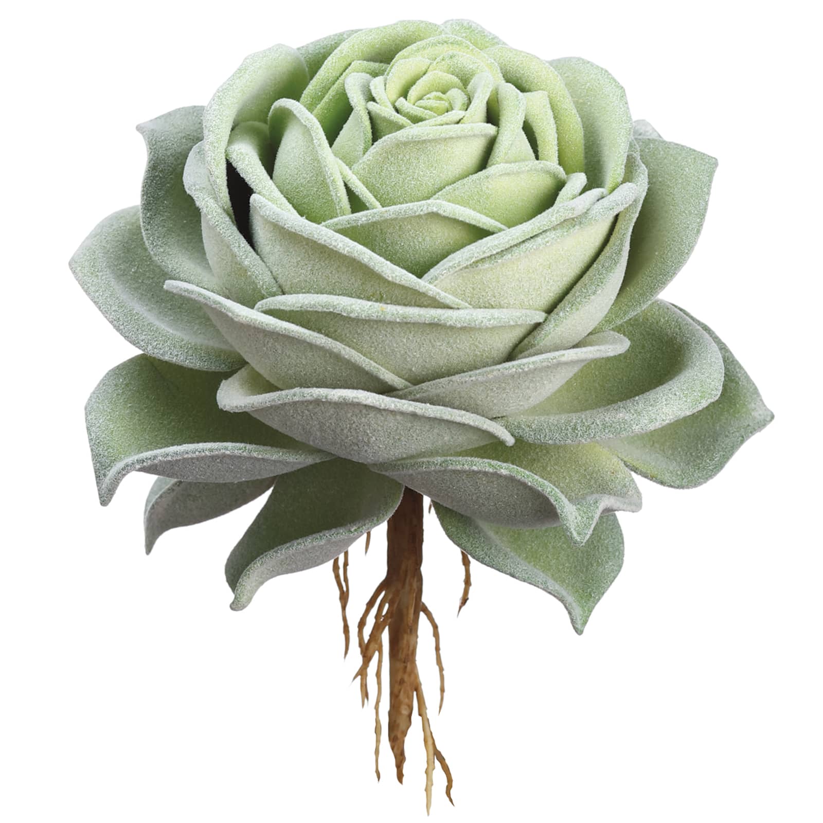6.3&#x22; Green Rose Echeveria Pick 