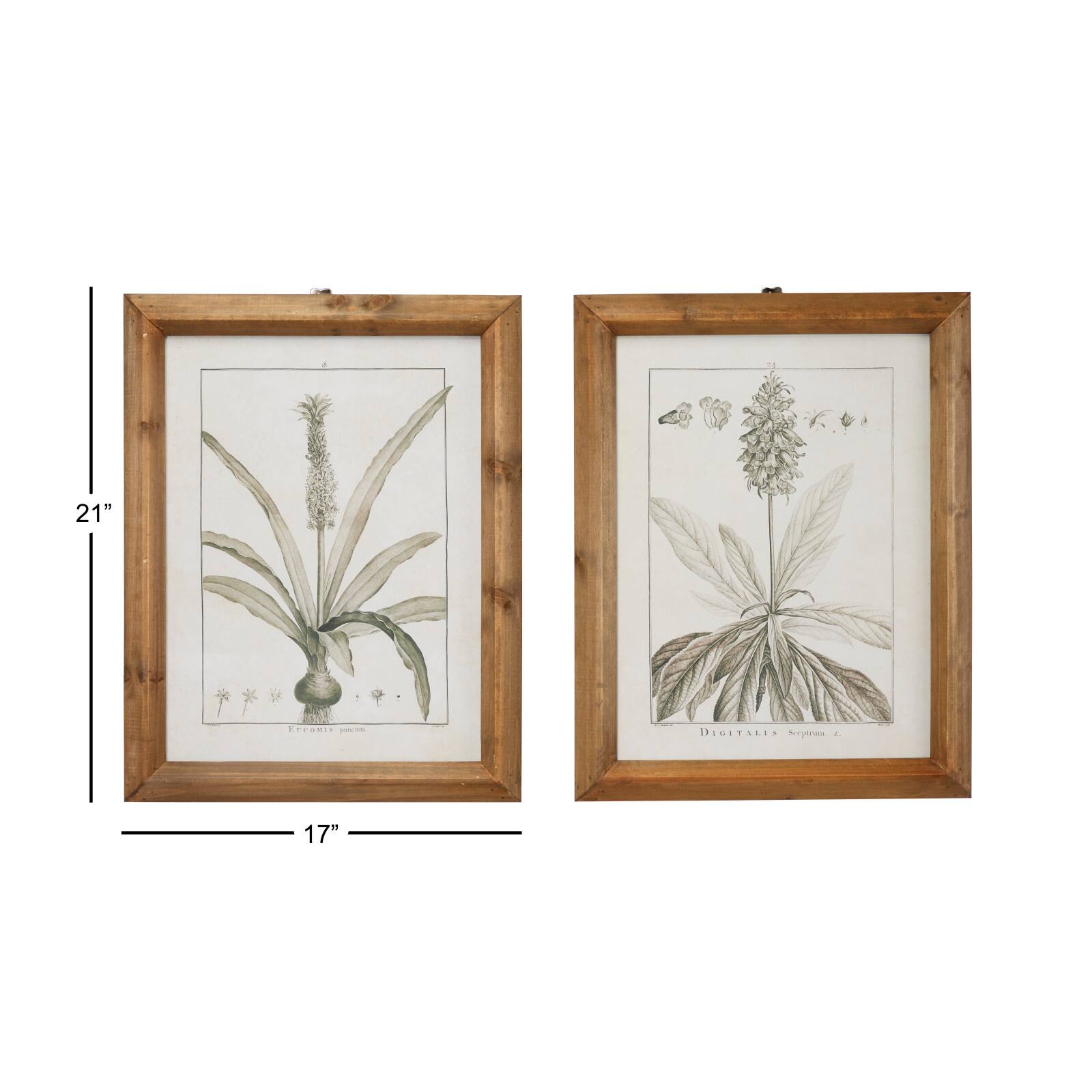 Brown & Cream Vintage Botanical Framed Wall Art Set