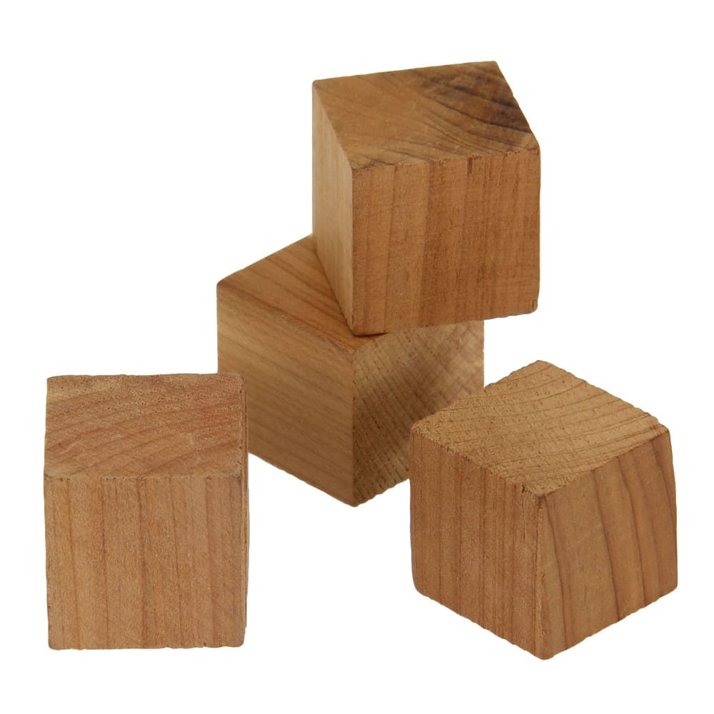 Household Essentials Hang-Up & Cube Cedar Moth Repellent Kit