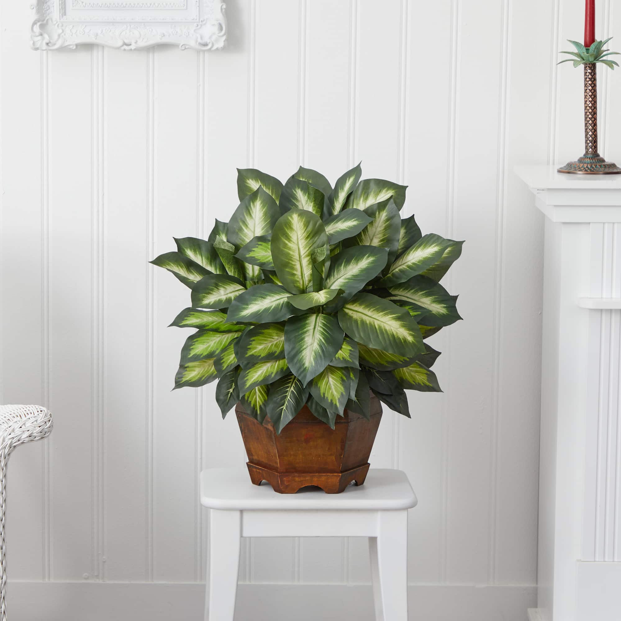 24" Golden Dieffenbachia Plant in Decorative Pot