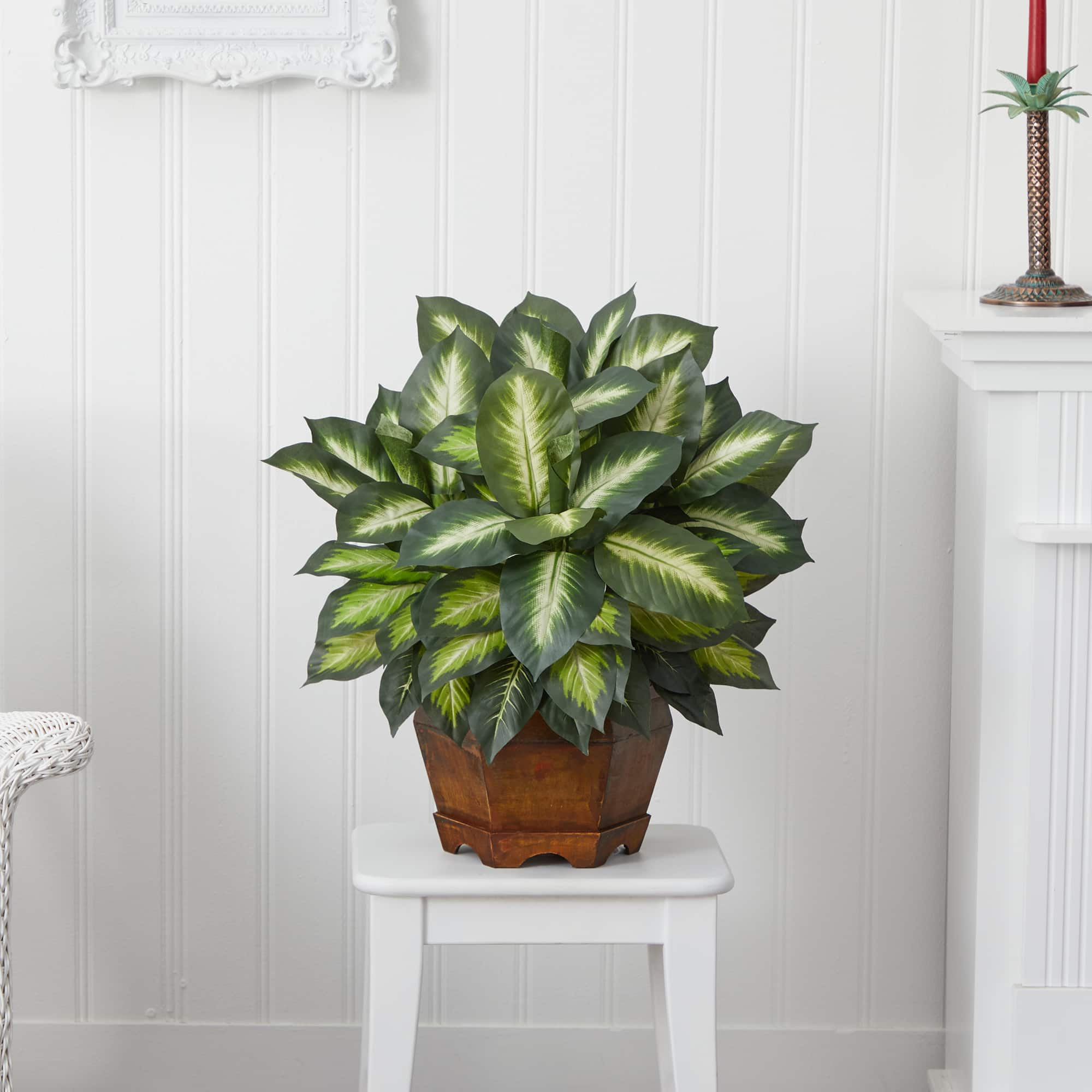 24&#x22; Golden Dieffenbachia Plant in Decorative Pot