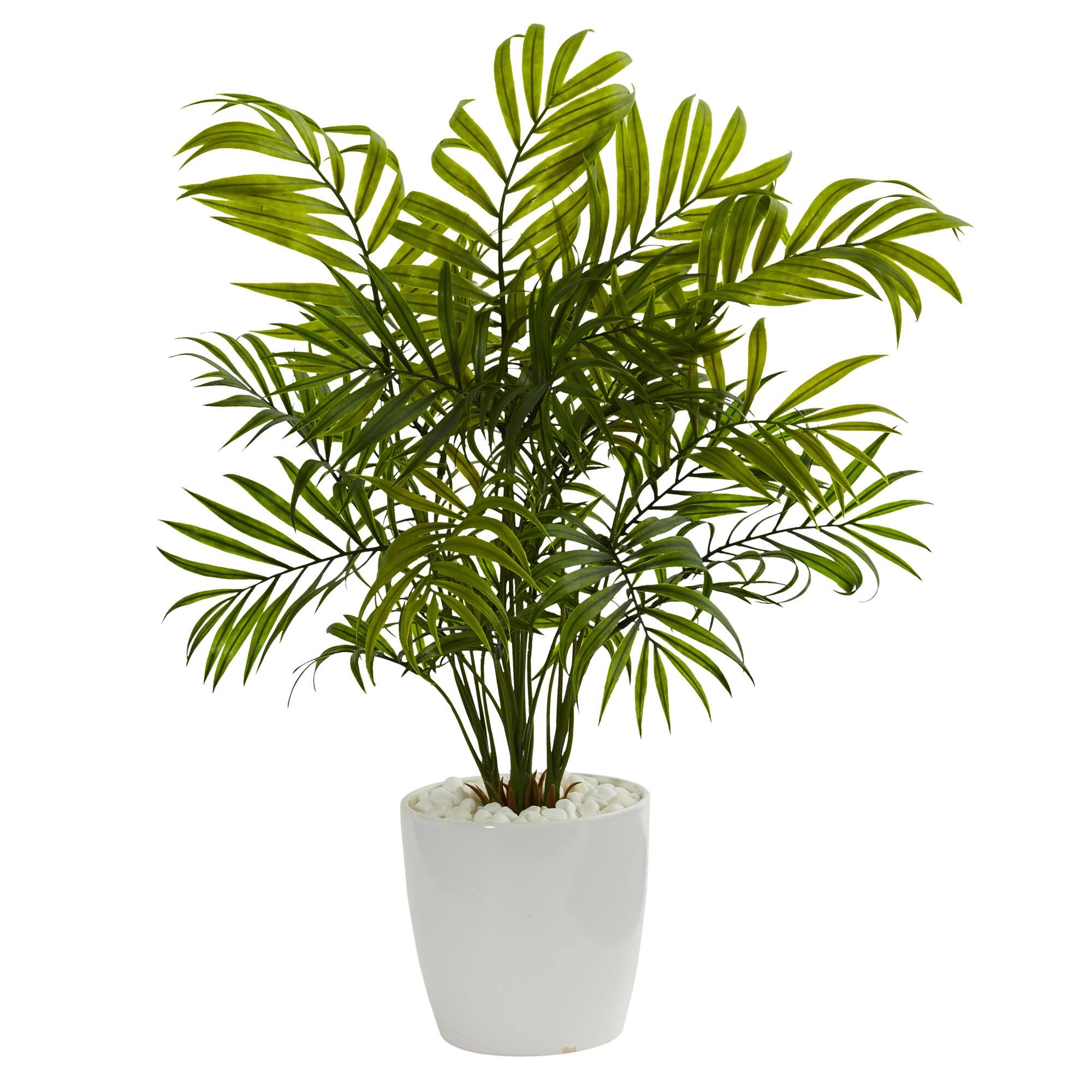 19.5" Palms in White Planter, 2ct.