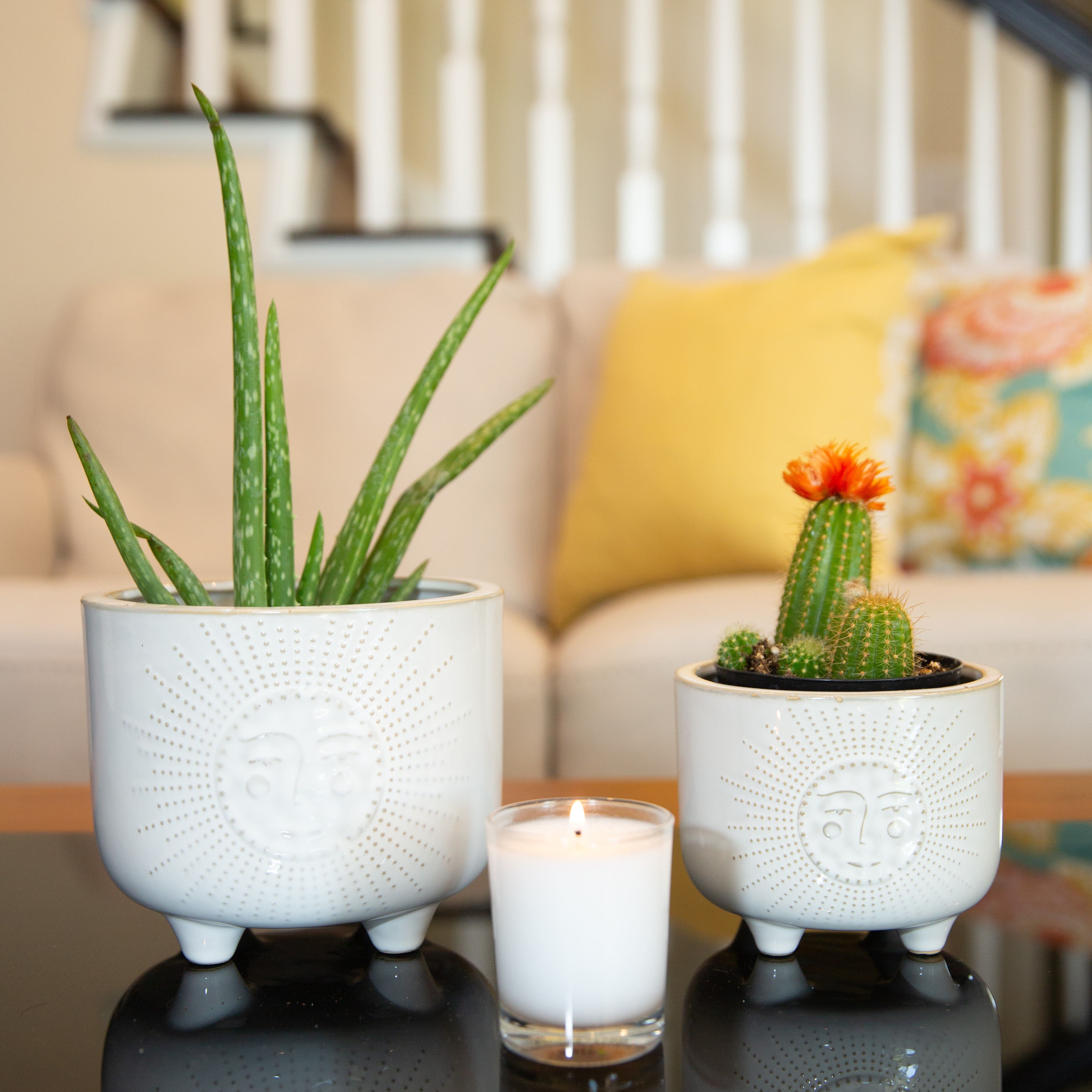 Flora Bunda® Ivory Sunny Ceramic Footed Planter Set