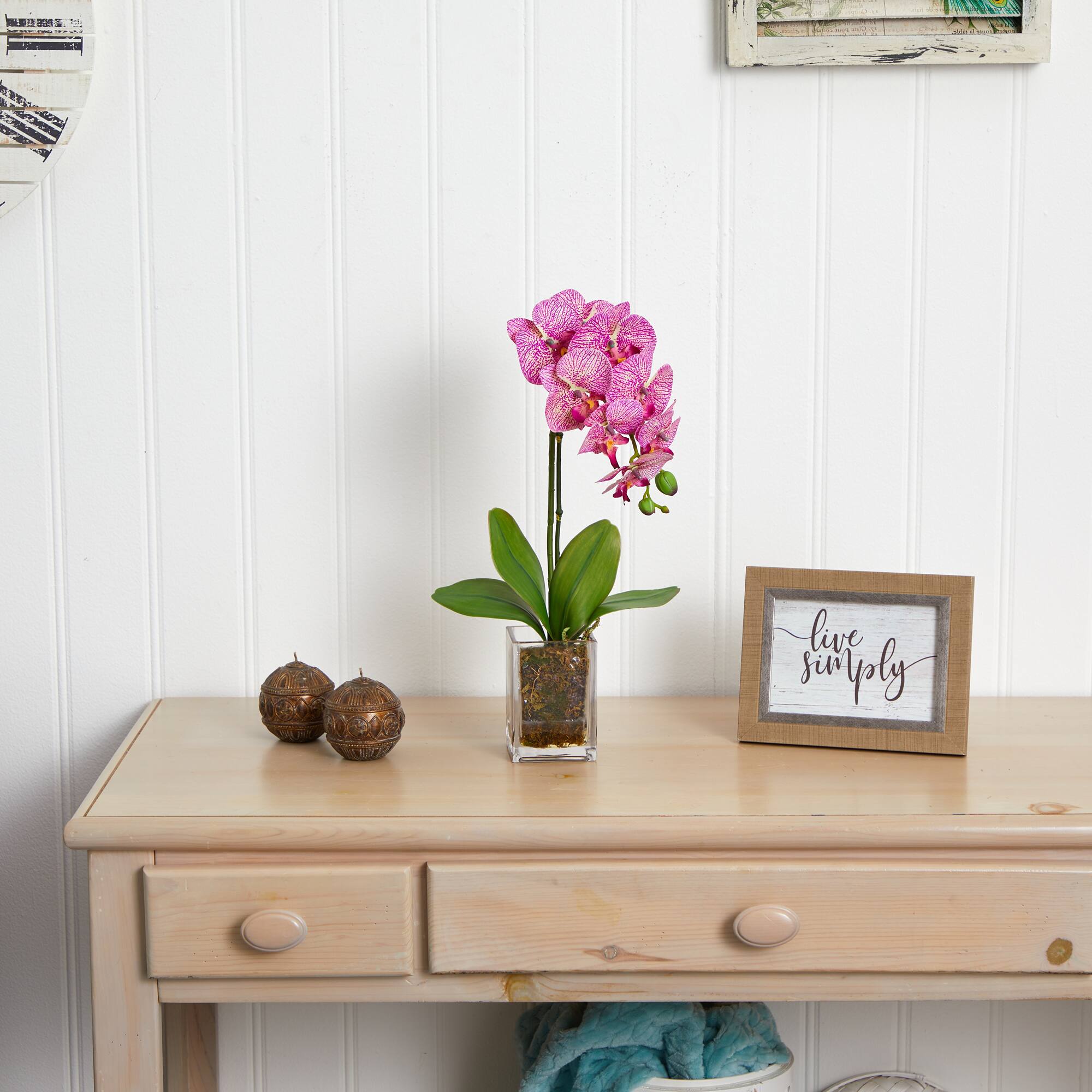 24" Pink Moth Orchid Arrangement in Vase