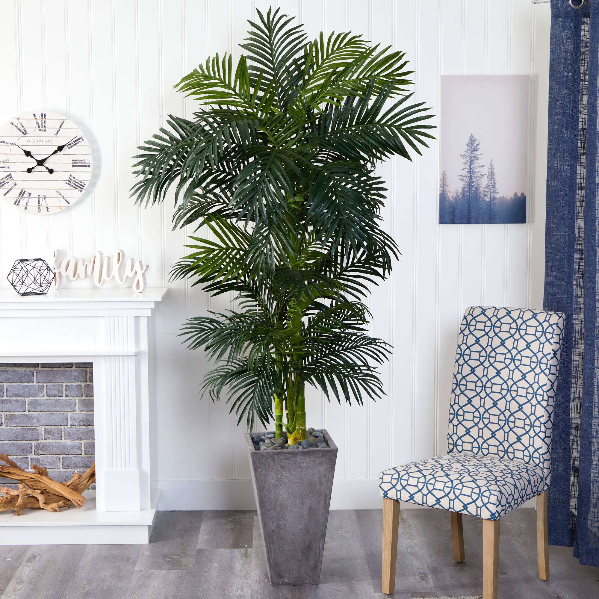 7ft. Golden Cane Palm Tree In Cement Planter