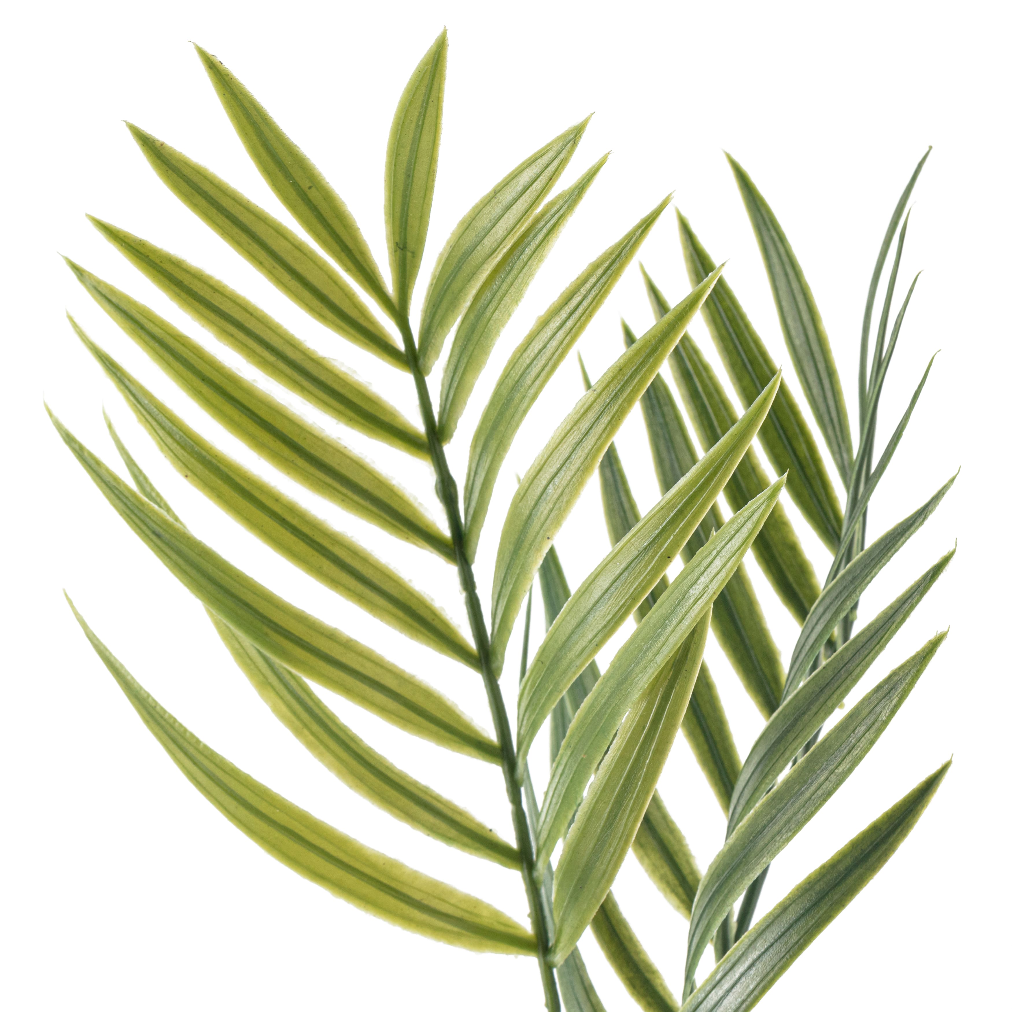 Tropical Palm Stem by Ashland®