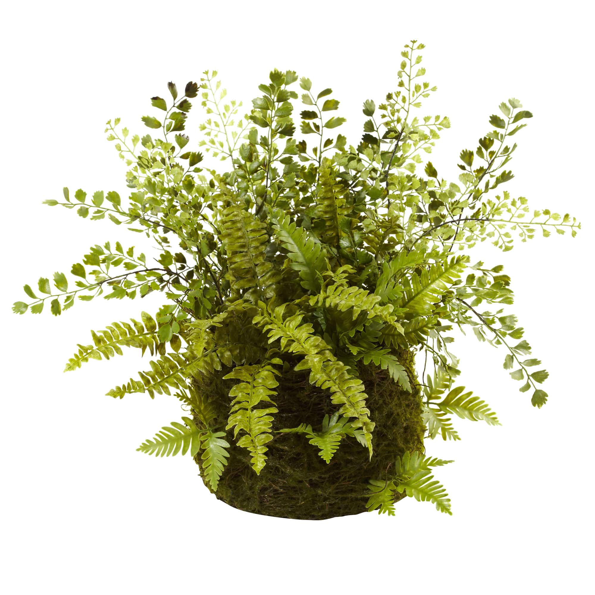 13&#x22; Fern and Twig Moss Basket