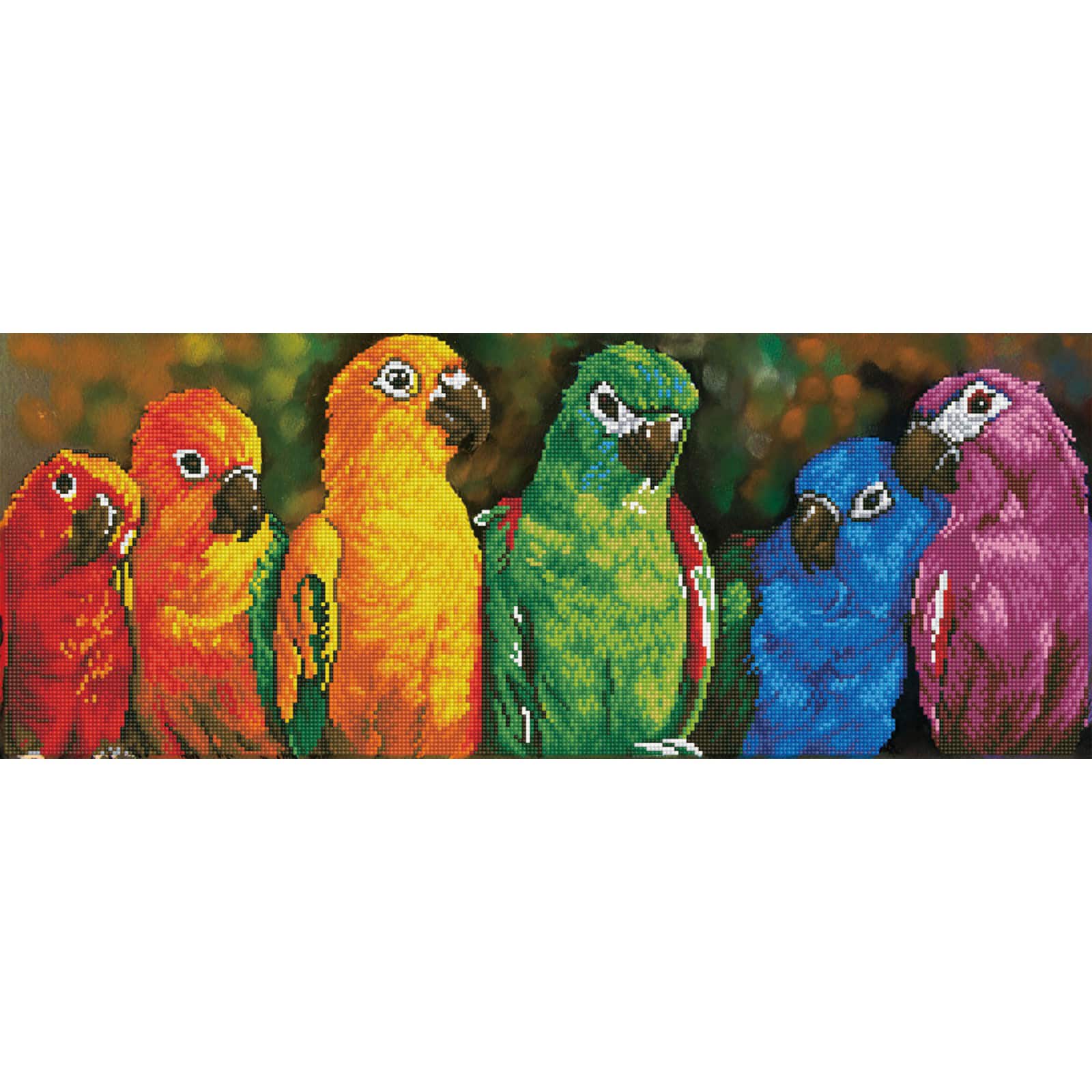 Diamond Dotz&#xAE; Intermediate Rainbow Parrots Diamond Painting Kit