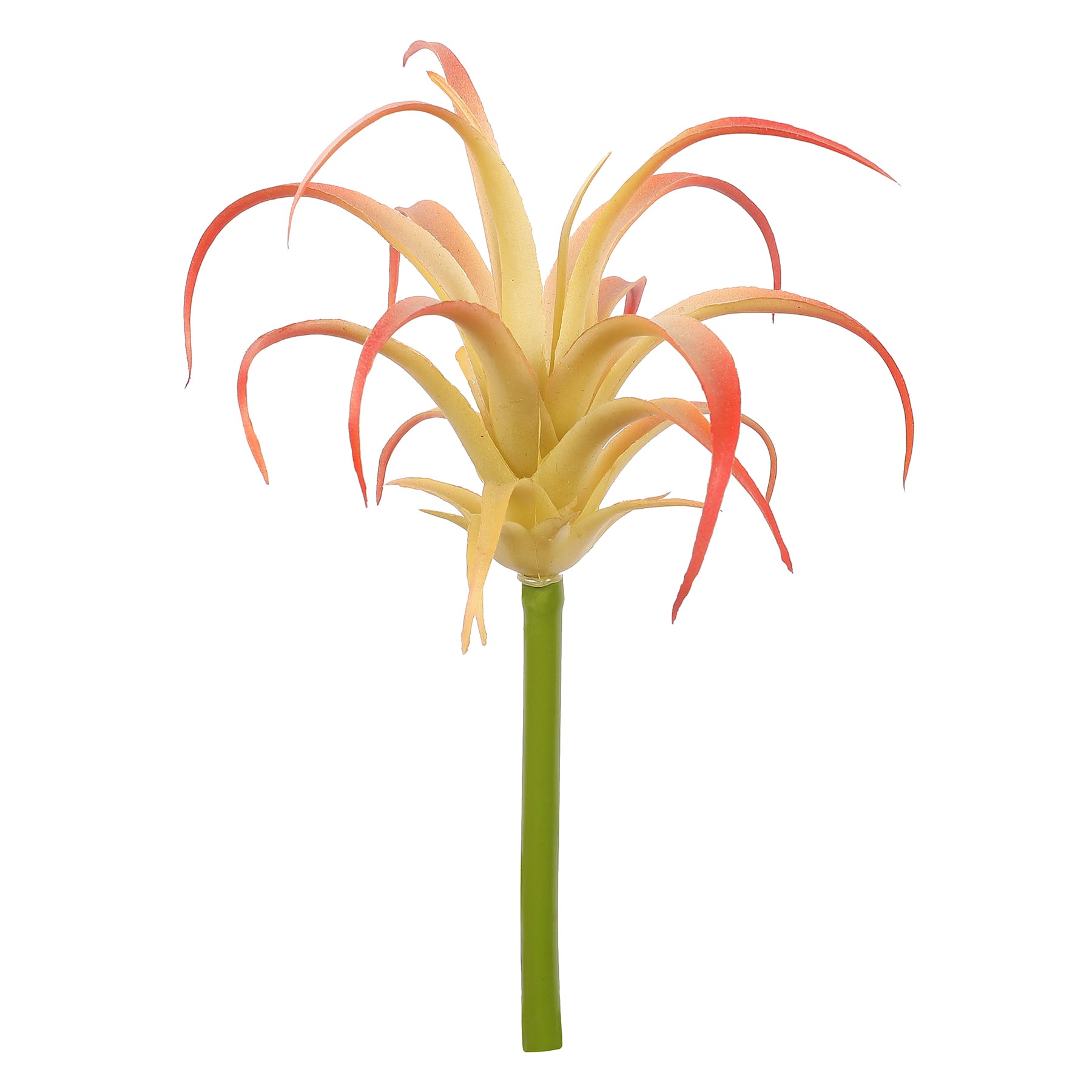 Assorted 7&#x22; Tillandsia Pick by Ashland&#xAE;