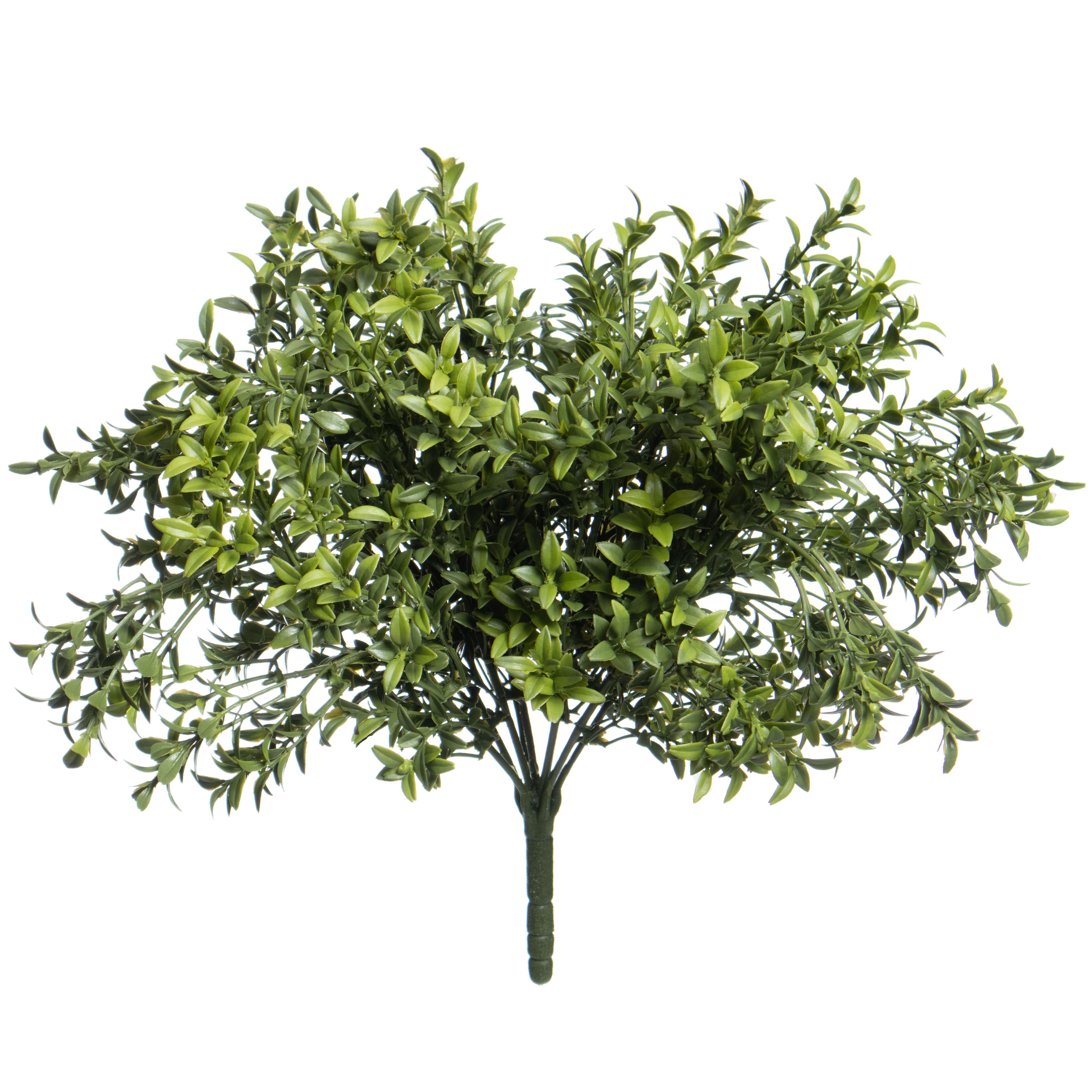 17" Green Boxwood UV Resistant Bush by Ashland®