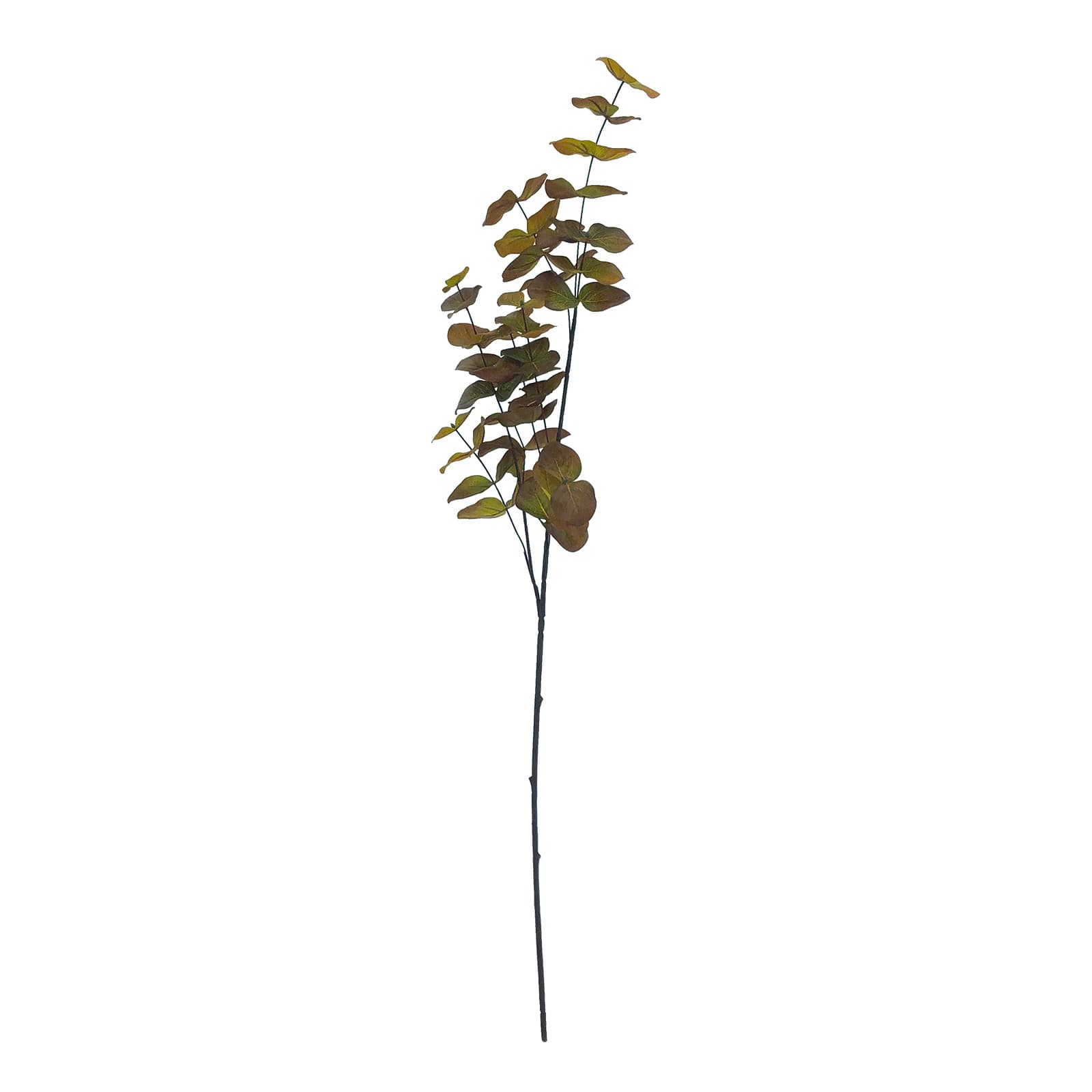 36&#x22; Orange Eucalyptus Stem by Ashland&#xAE;