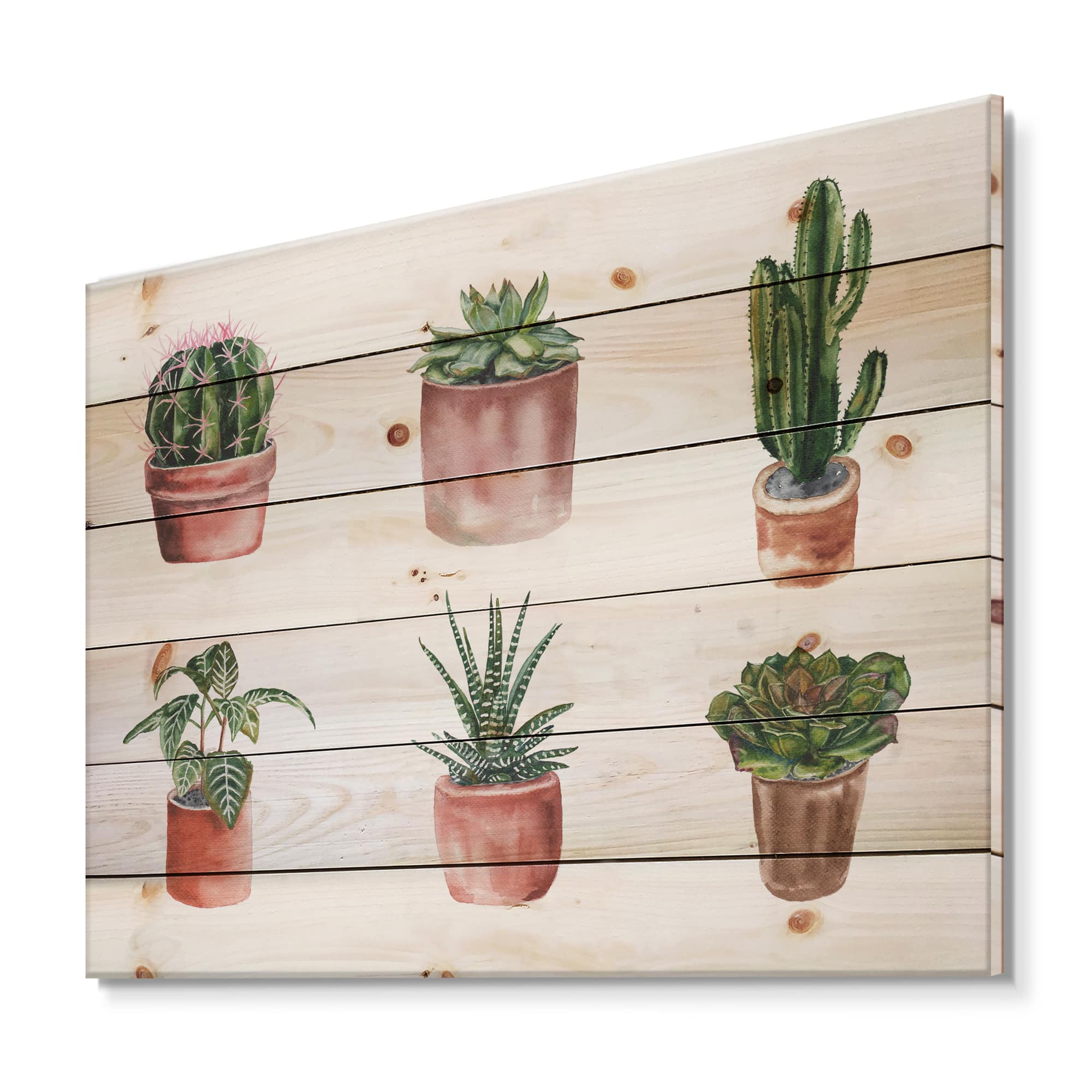 Designart - Flowers In A Pot Cacti and Succulents - Botanical Print on Natural Pine Wood