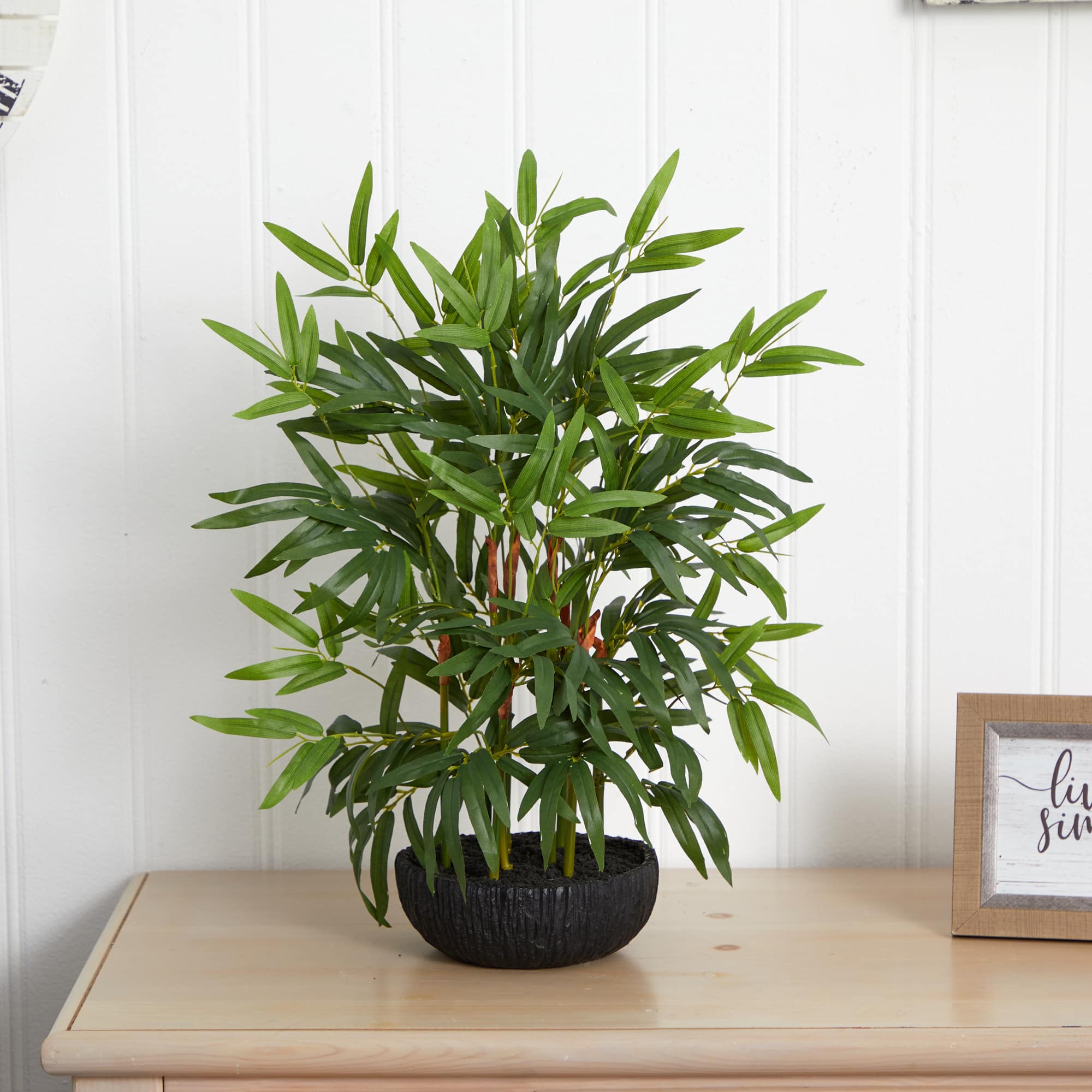 20&#x22; Potted Bamboo Tree