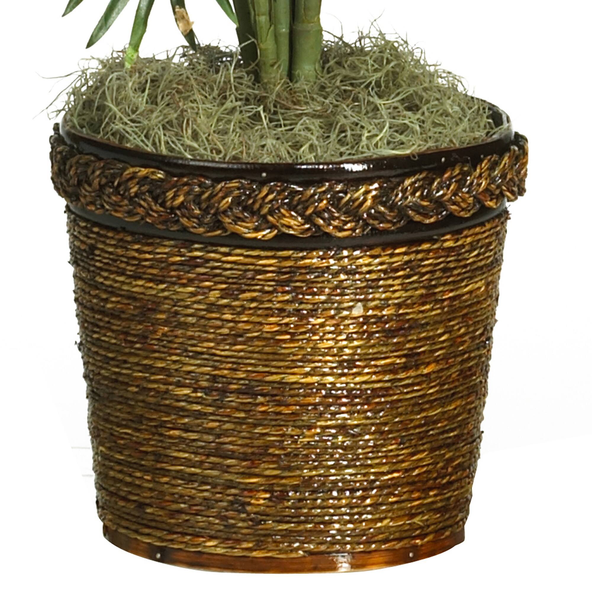 4.6ft. Areca Palm Tree with Basket Michaels