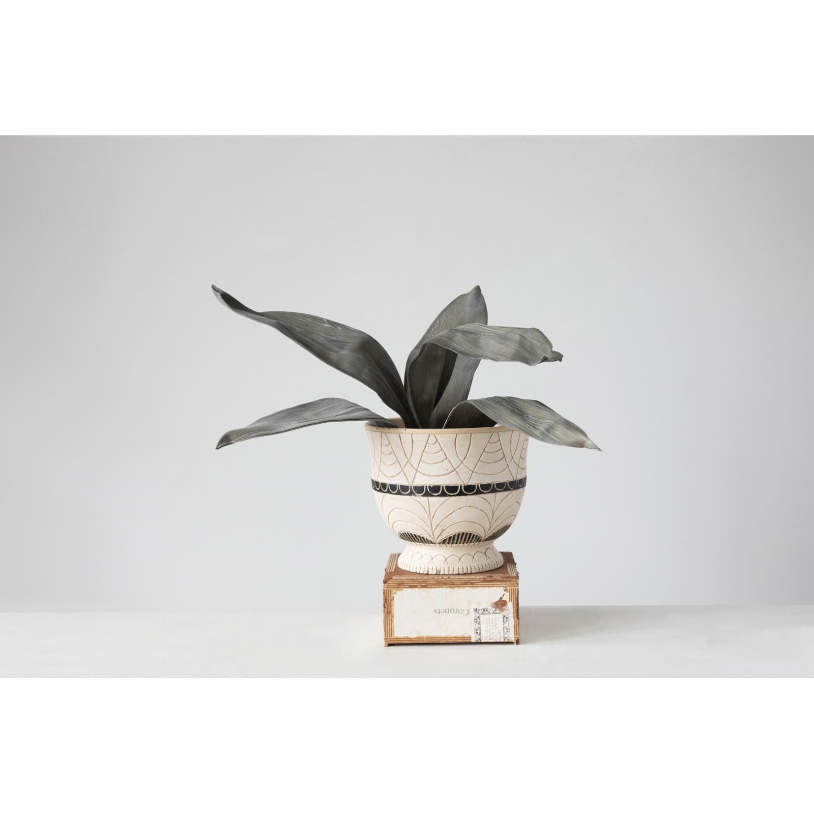Hello Honey® 7" Debossed Terra Cotta Planter with Pedestal Base