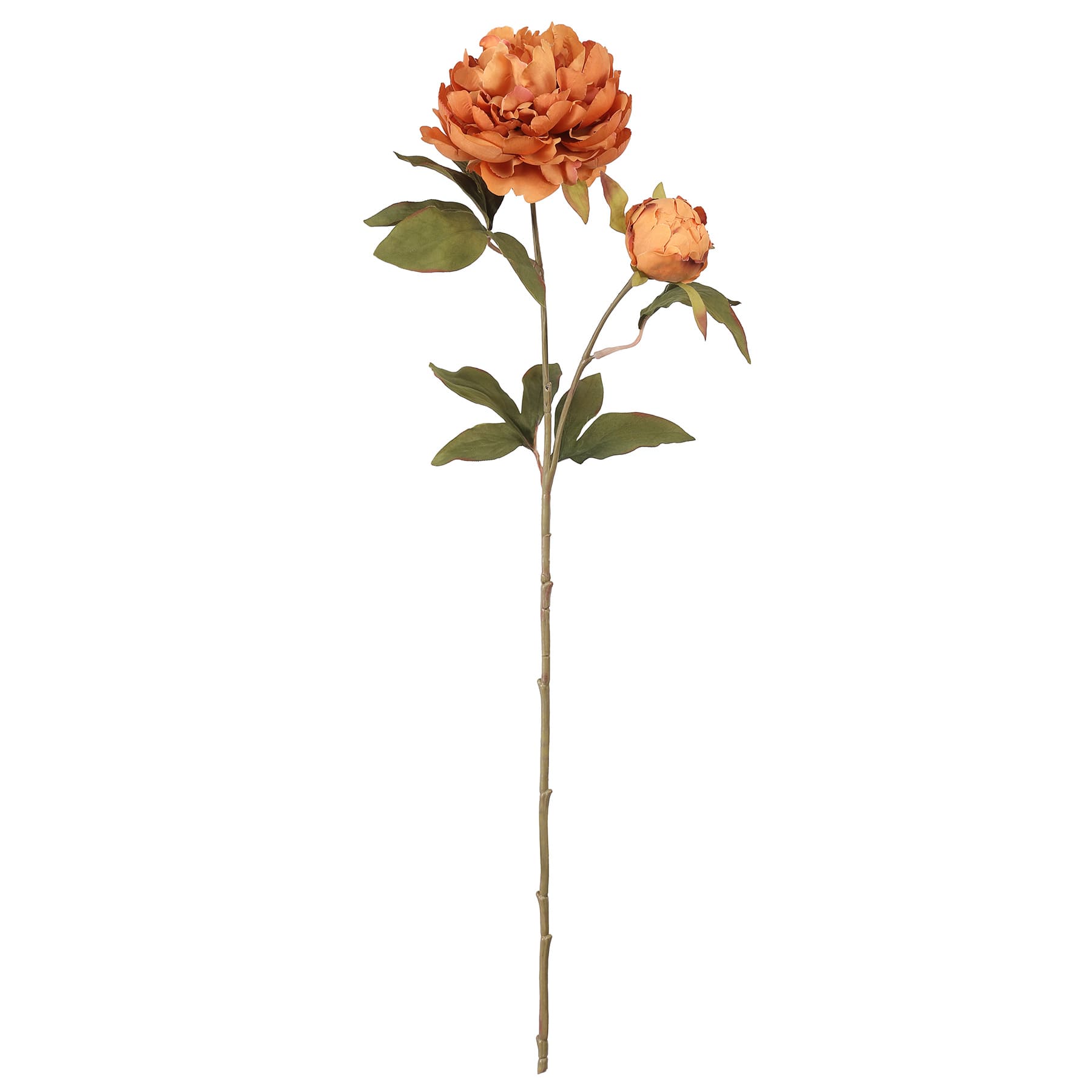 27.5&#x22; Brown Peony Stem by Ashland&#xAE;
