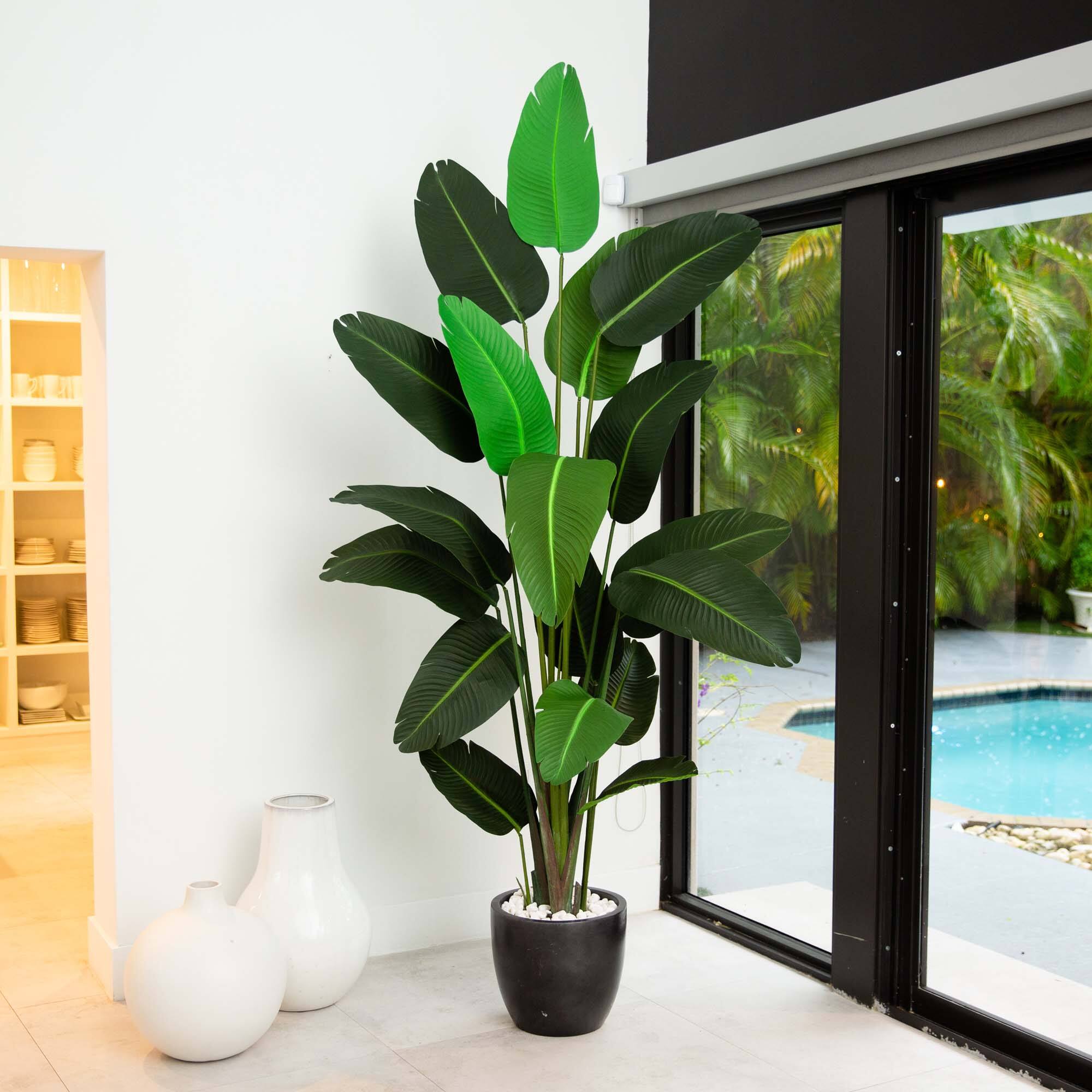 8ft. Potted Travelers Palm Tree