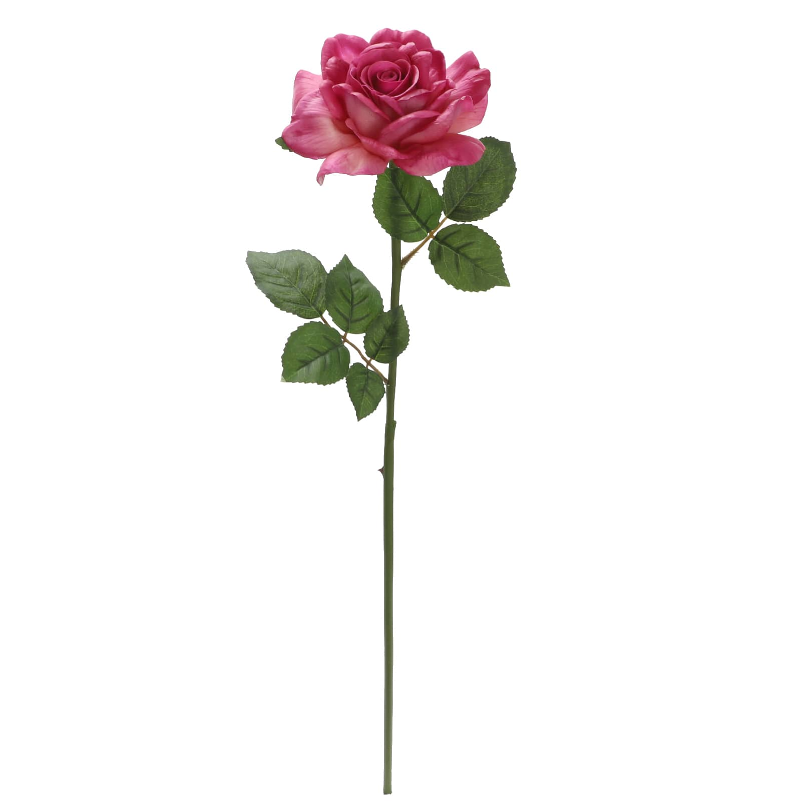 Fuchsia Rose Stem by Ashland® | Michaels