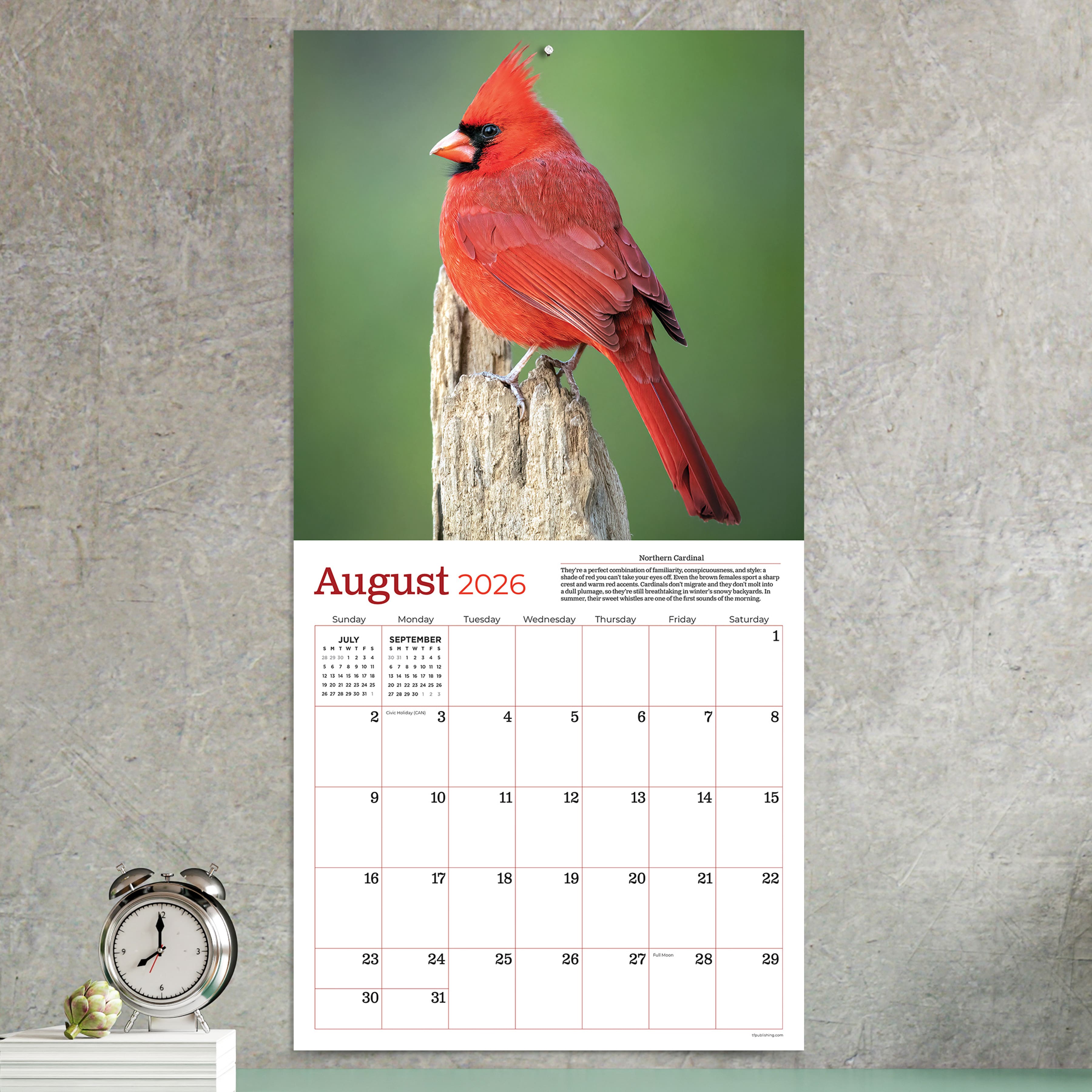 2026 Backyard Birds Wall Calendar