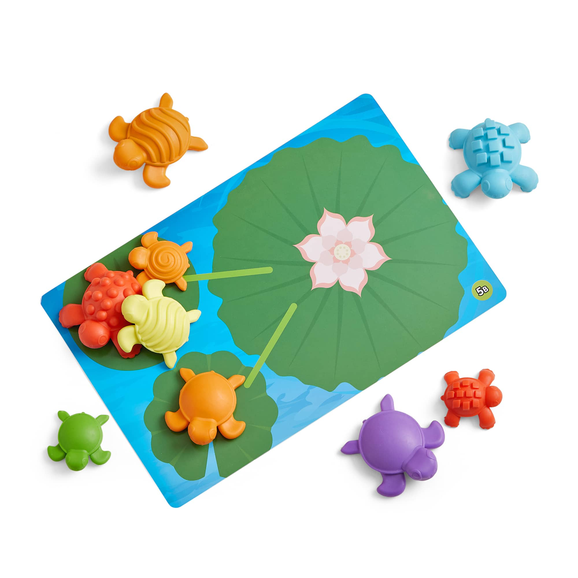 hand2mind Tactile Turtles Math Activity Set