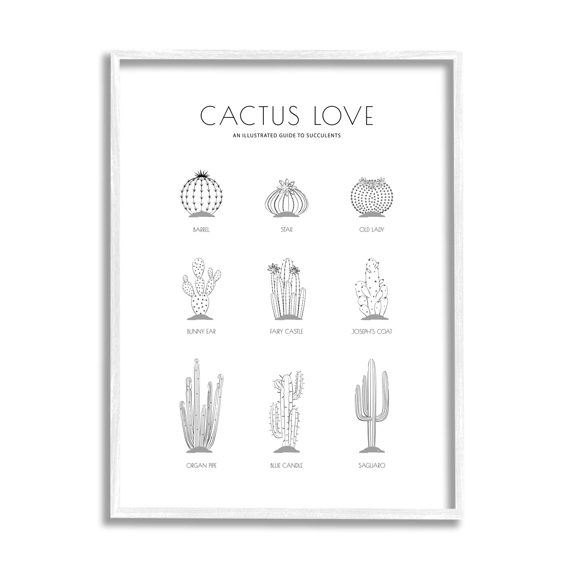 Stupell Industries Illustrated Guide to Succulents Minimal Modern Cactus Plant in White Frame Wall Art
