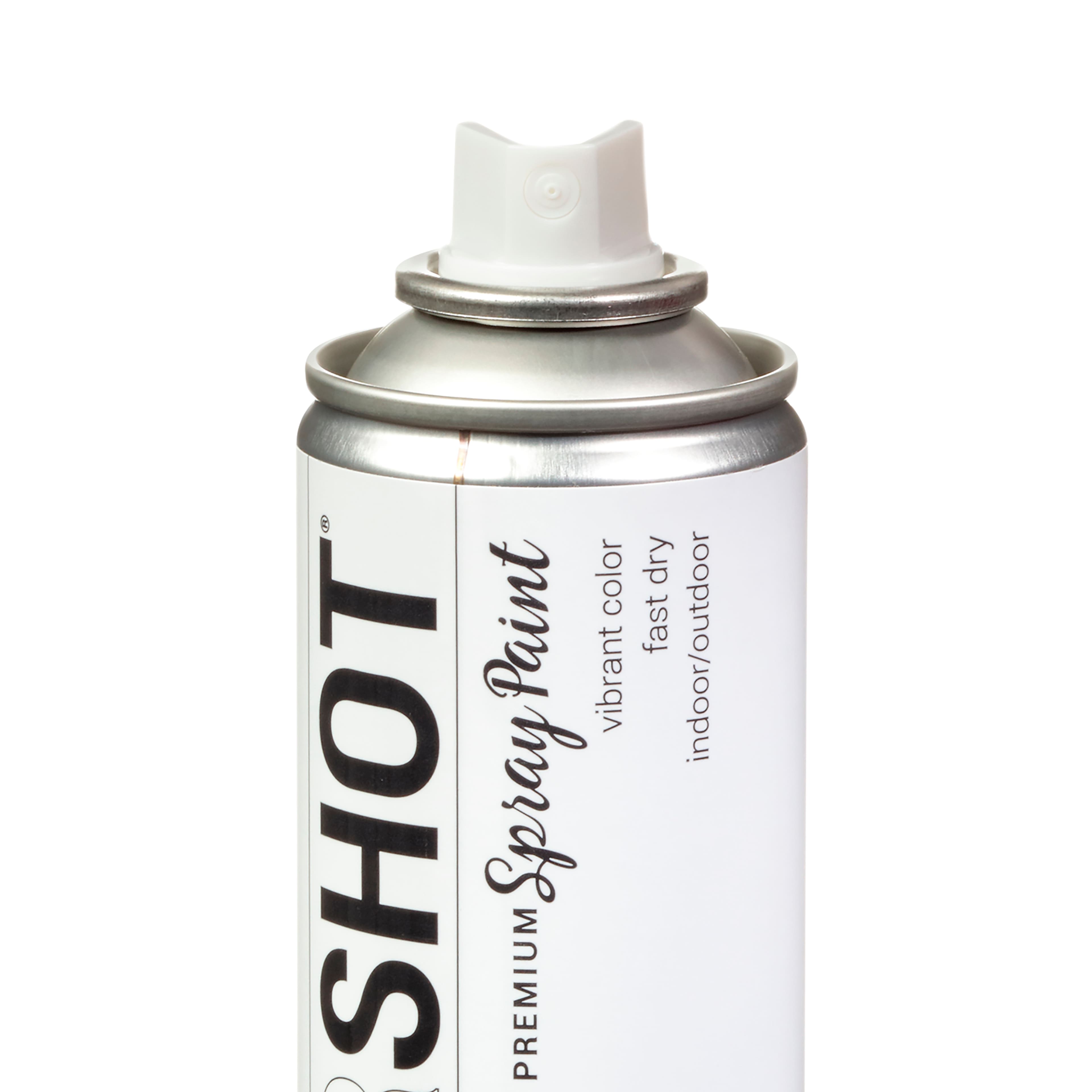 COLORSHOT® Premium Gloss Spray Paint