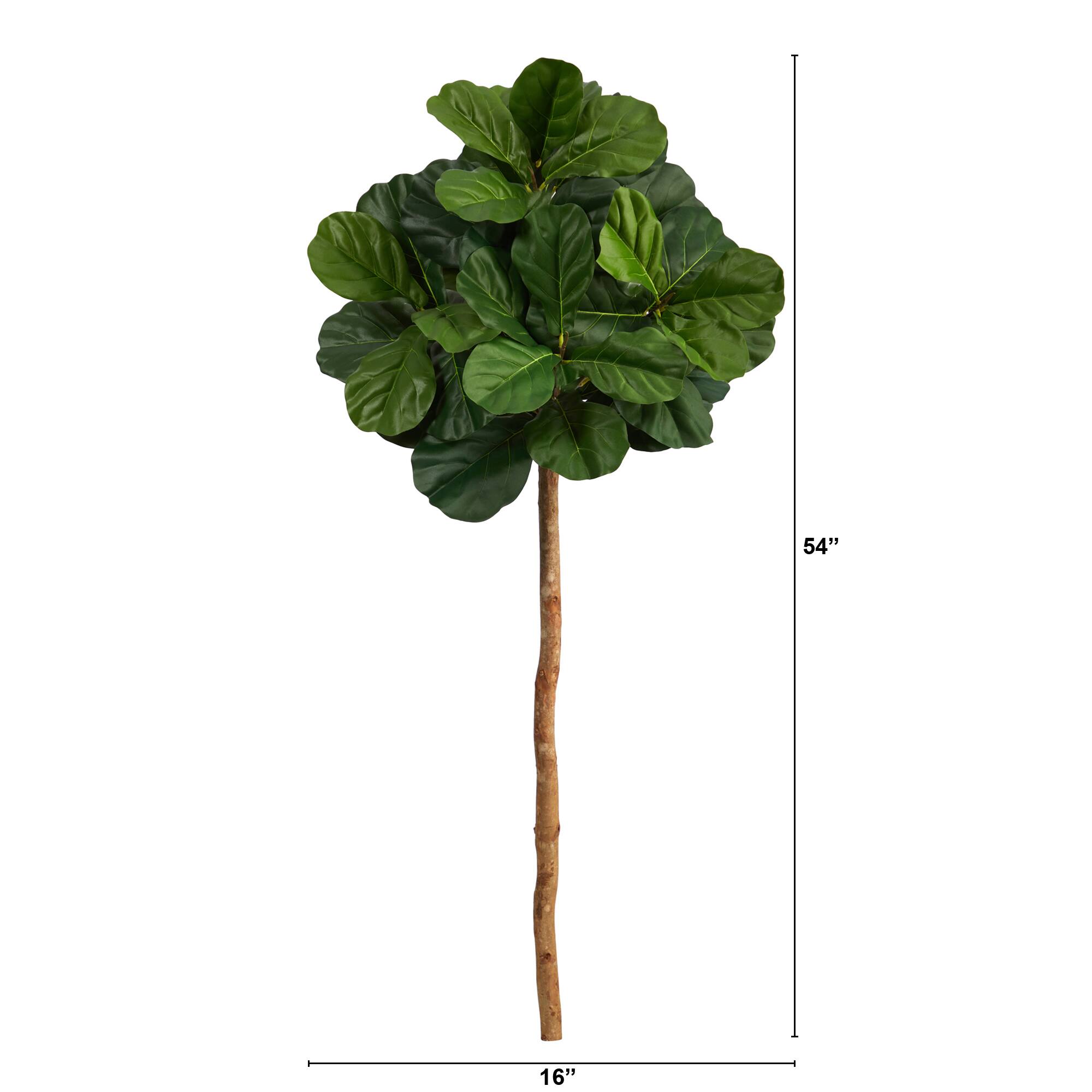 4.5ft. Fiddle Leaf Fig Tree