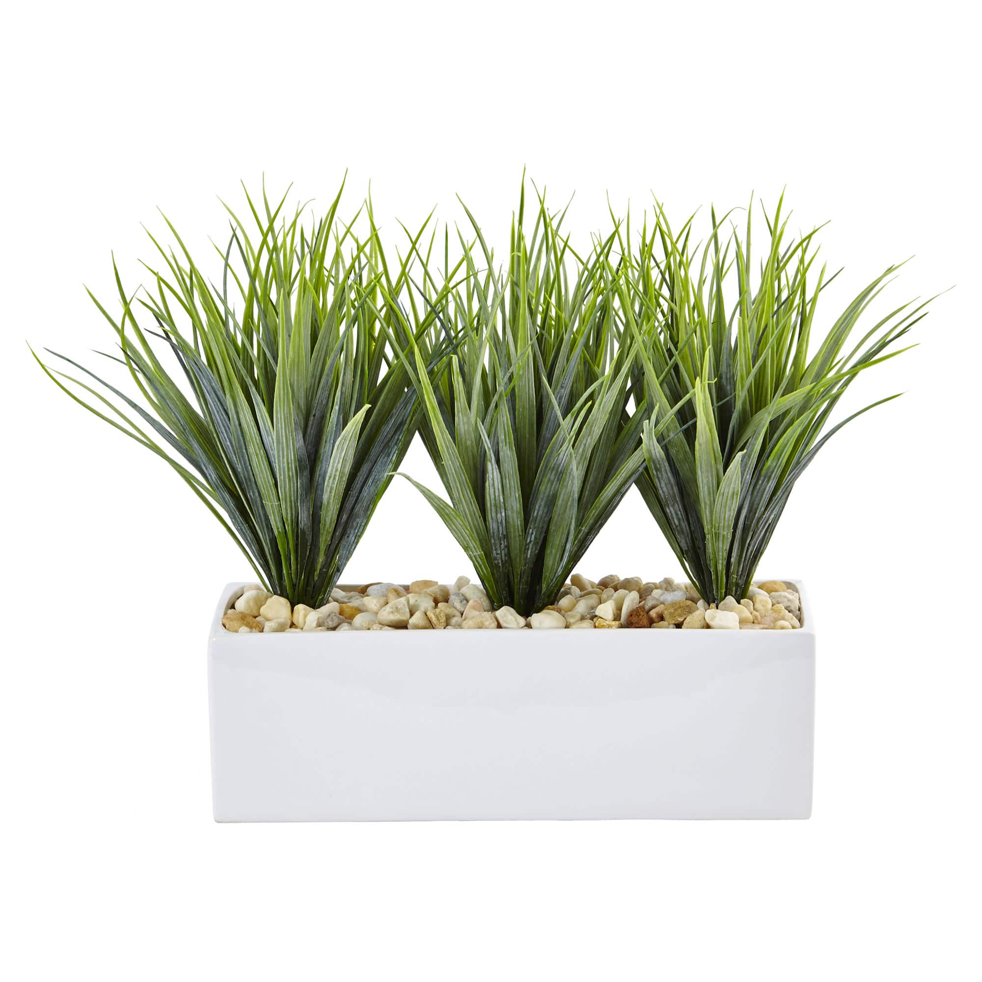 12" Vanilla Grass in White Rectangular Planter