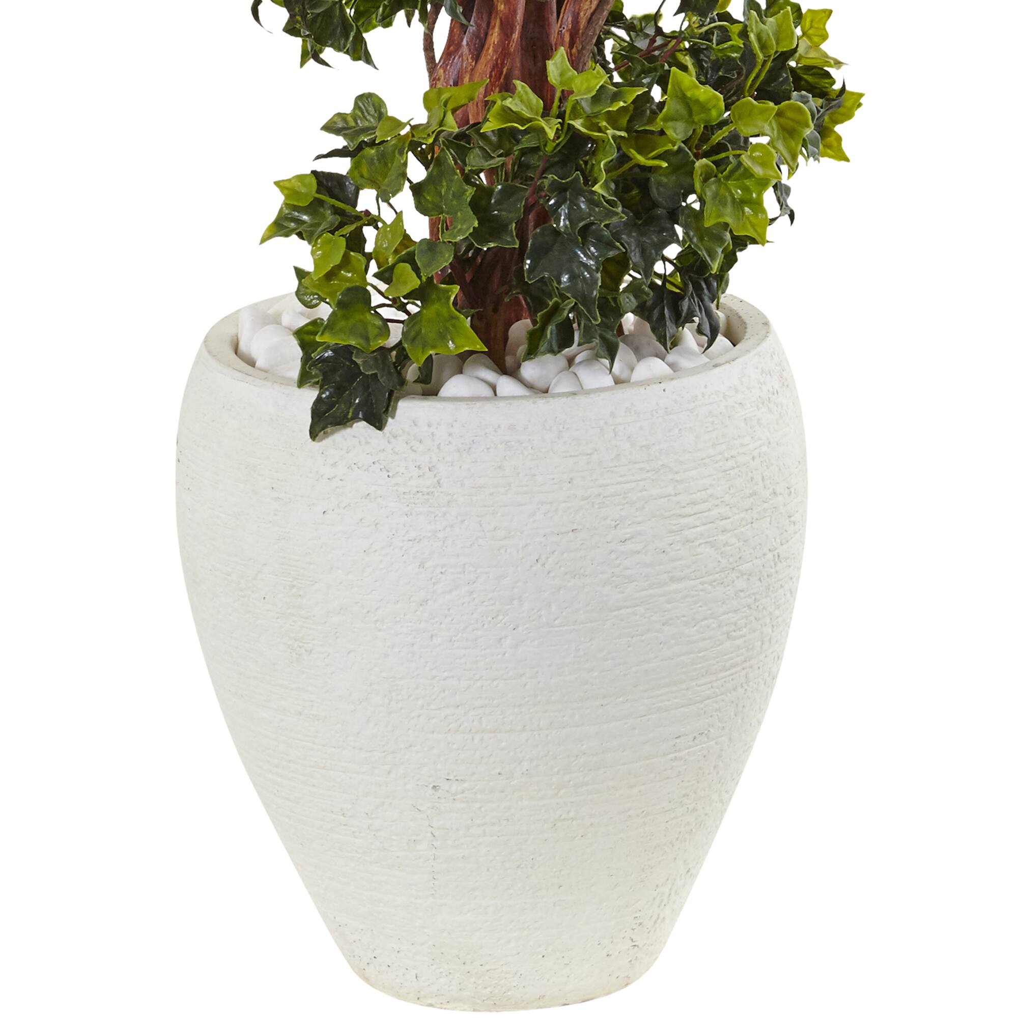 4ft. English Ivy Topiary Tree in White Oval Planter