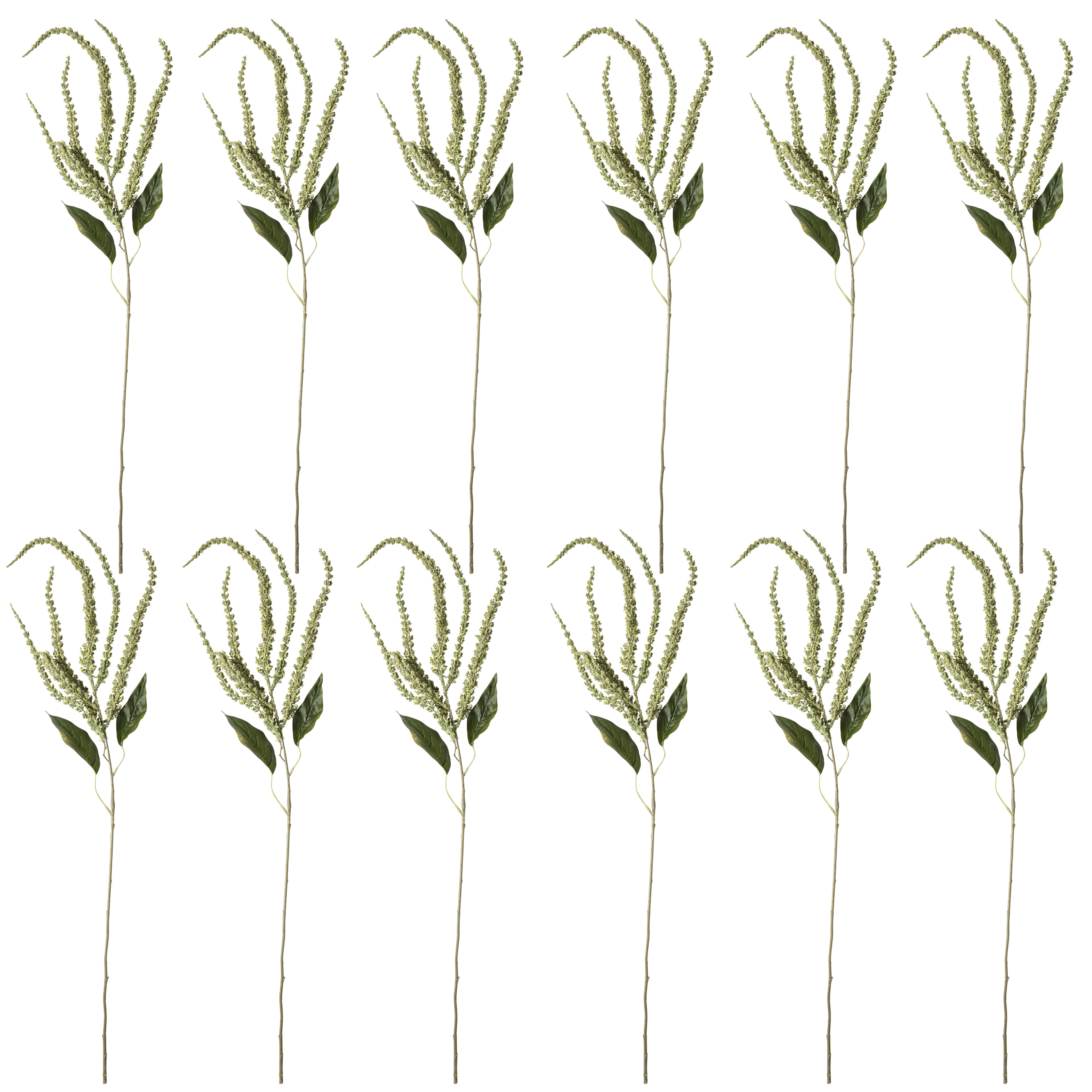 12 Pack: Green Amaranthus Stem by Ashland®