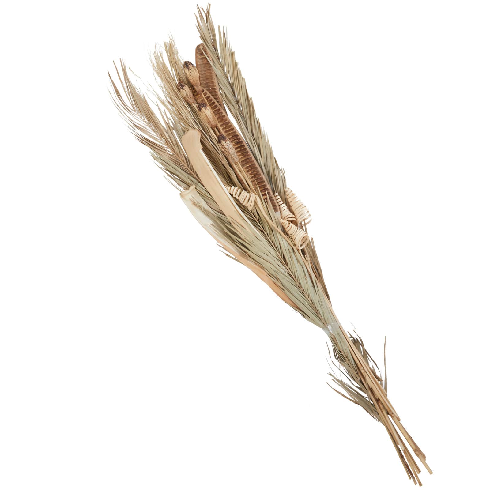 62&#x22; Beige Dried Plant Assorted Bouquet Palm Leaf Natural Foliage with Branch Accents