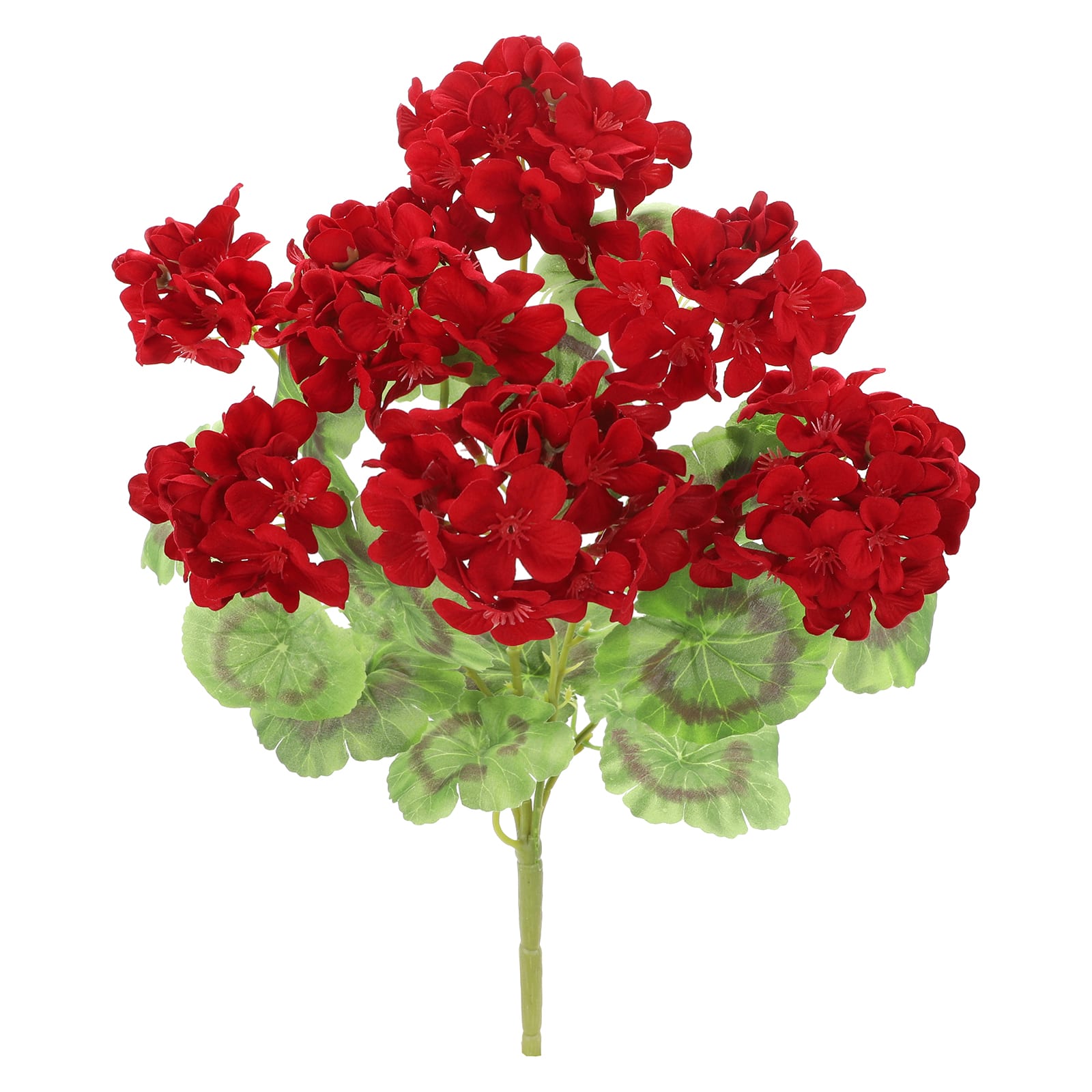 Red Geranium Bush By Ashland Michaels Red Geranium Bush By Ashland Michaels