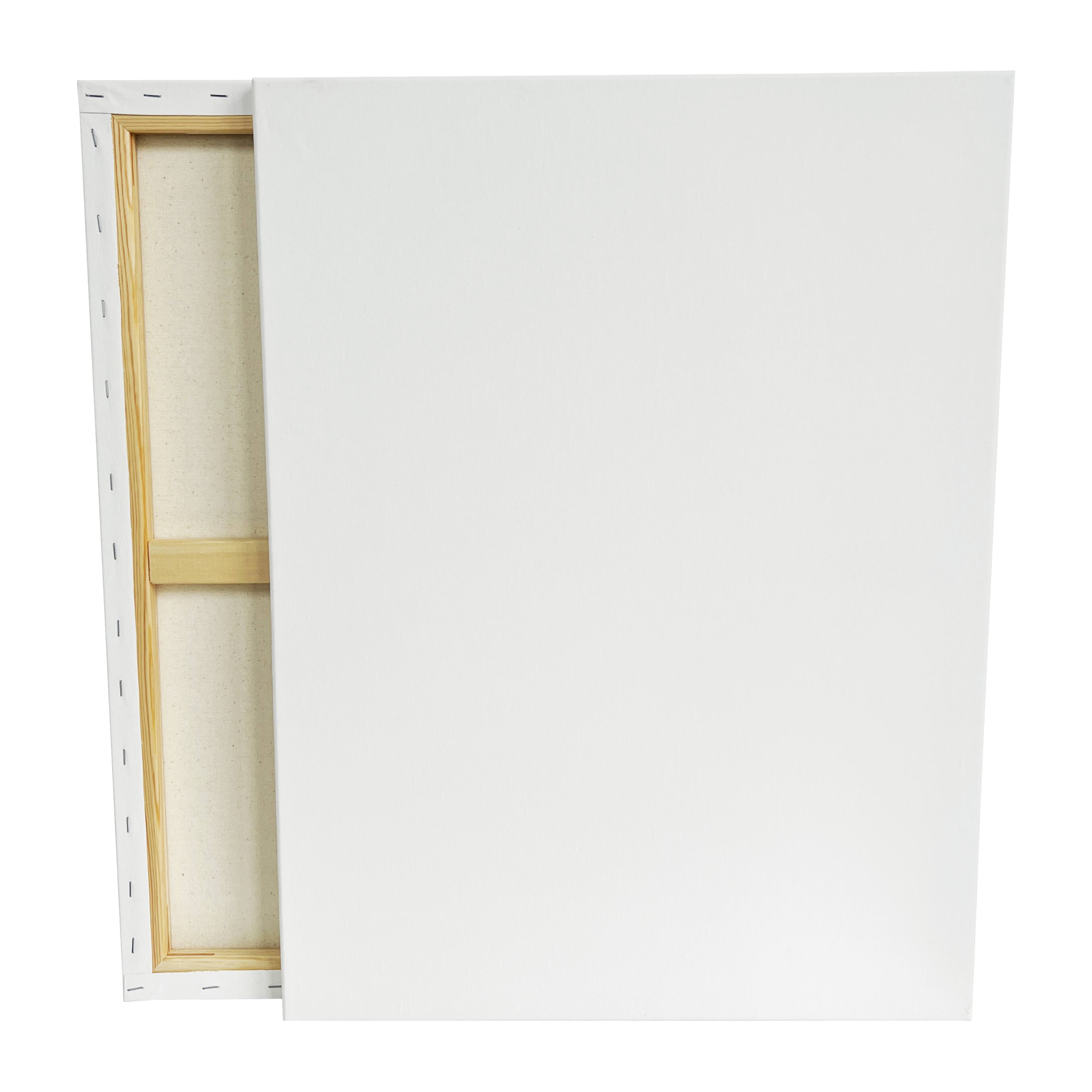 2 Pack Value Canvas by Artist's Loft®