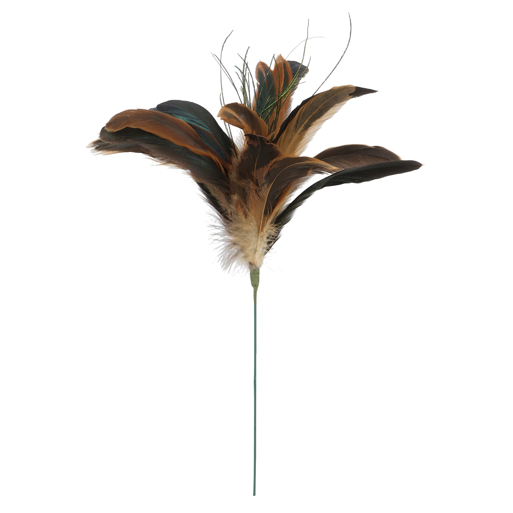 Natural Brown Peacock Feather Pick by Ashland® | Michaels