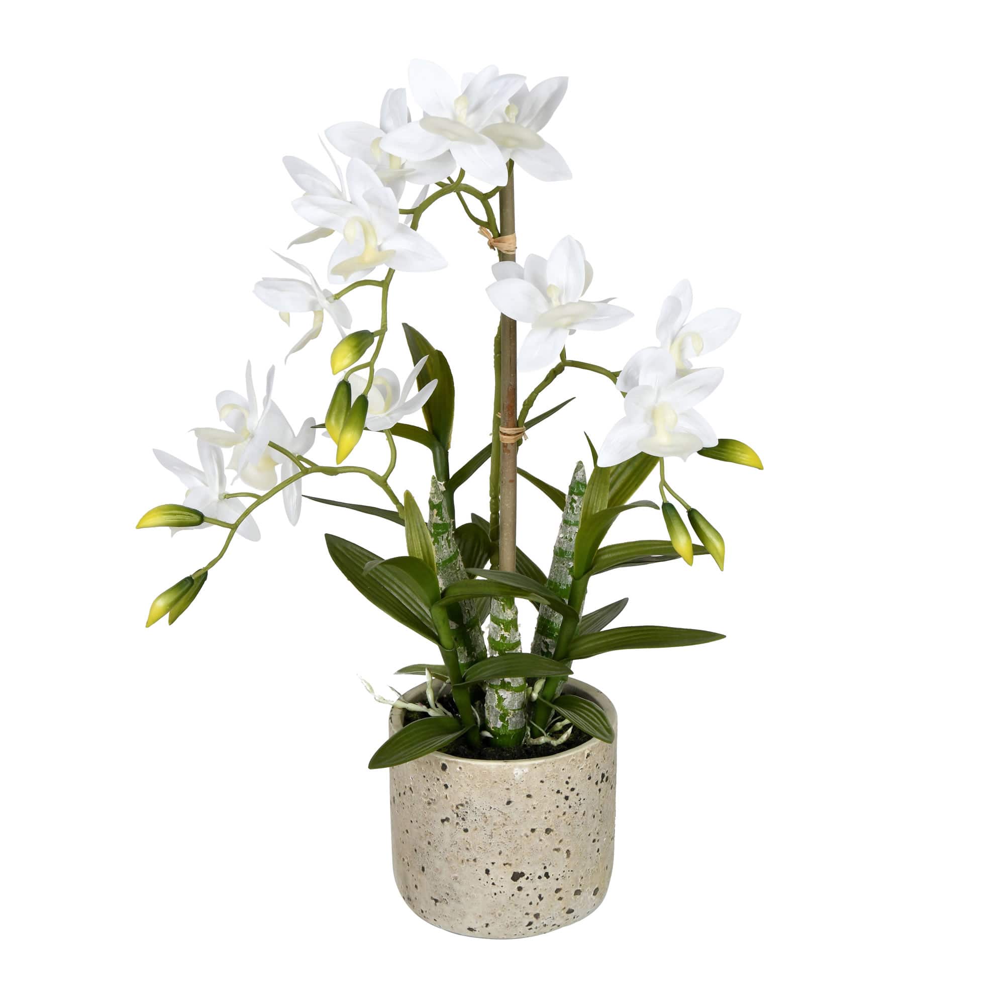 19" Artificial Deluxe Potted Cycnoches Orchid