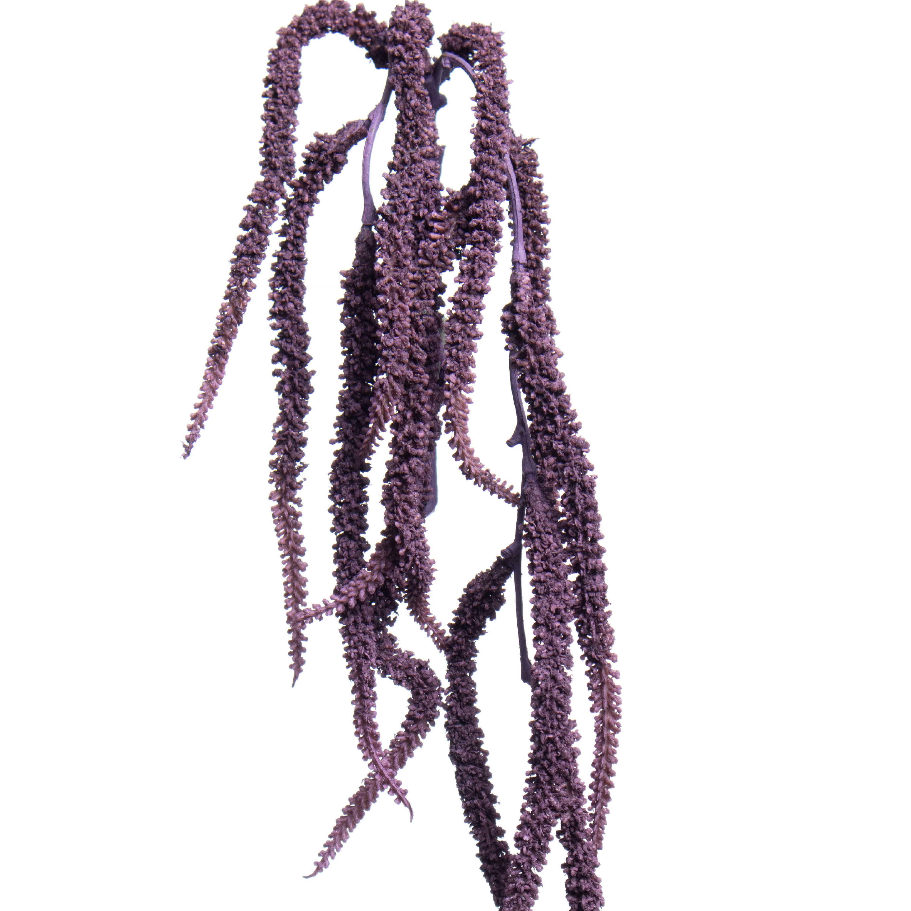 17&#x22; Amaranth Pick by Ashland&#xAE;