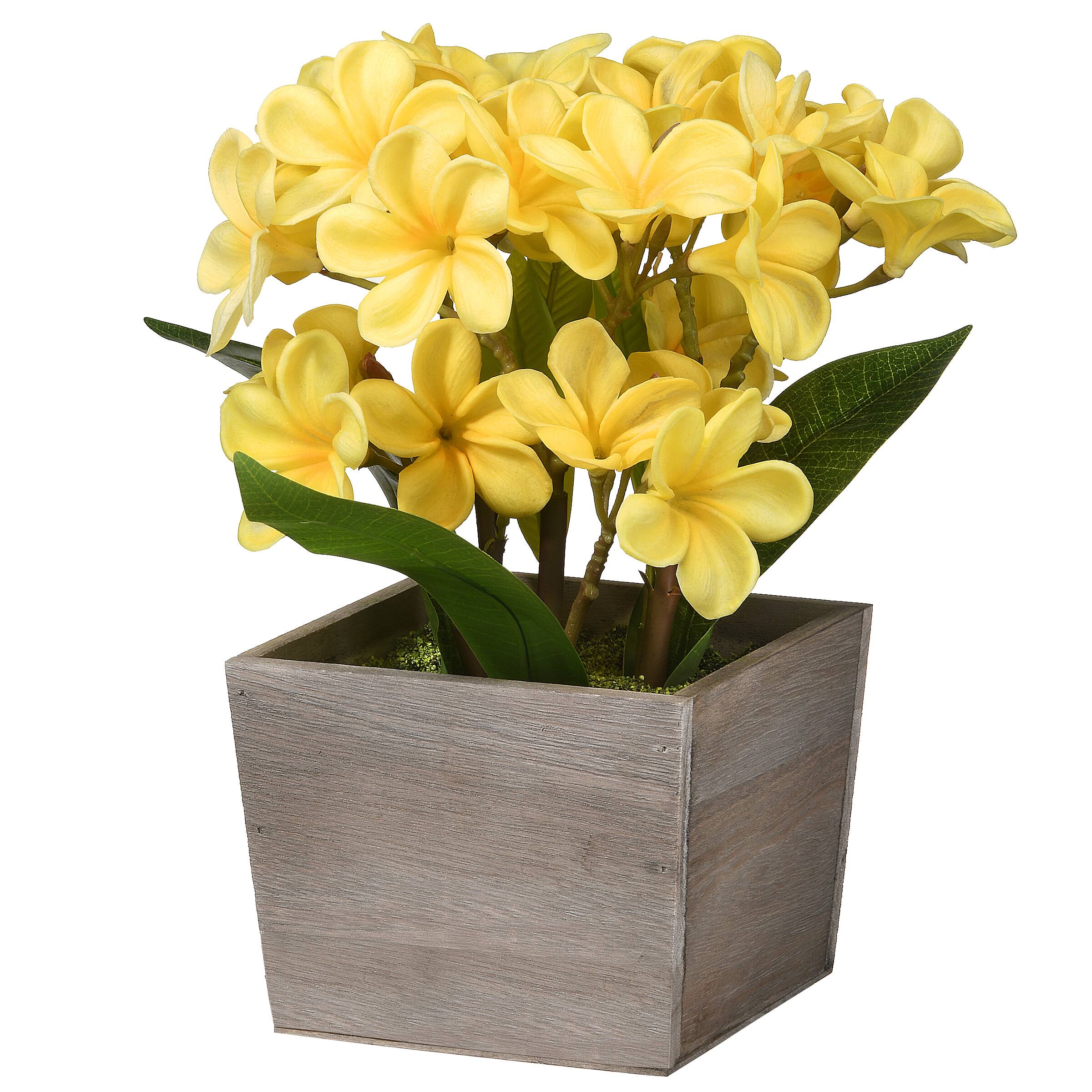 12" Yellow Plumeria Flowers in Wood Planter Michaels