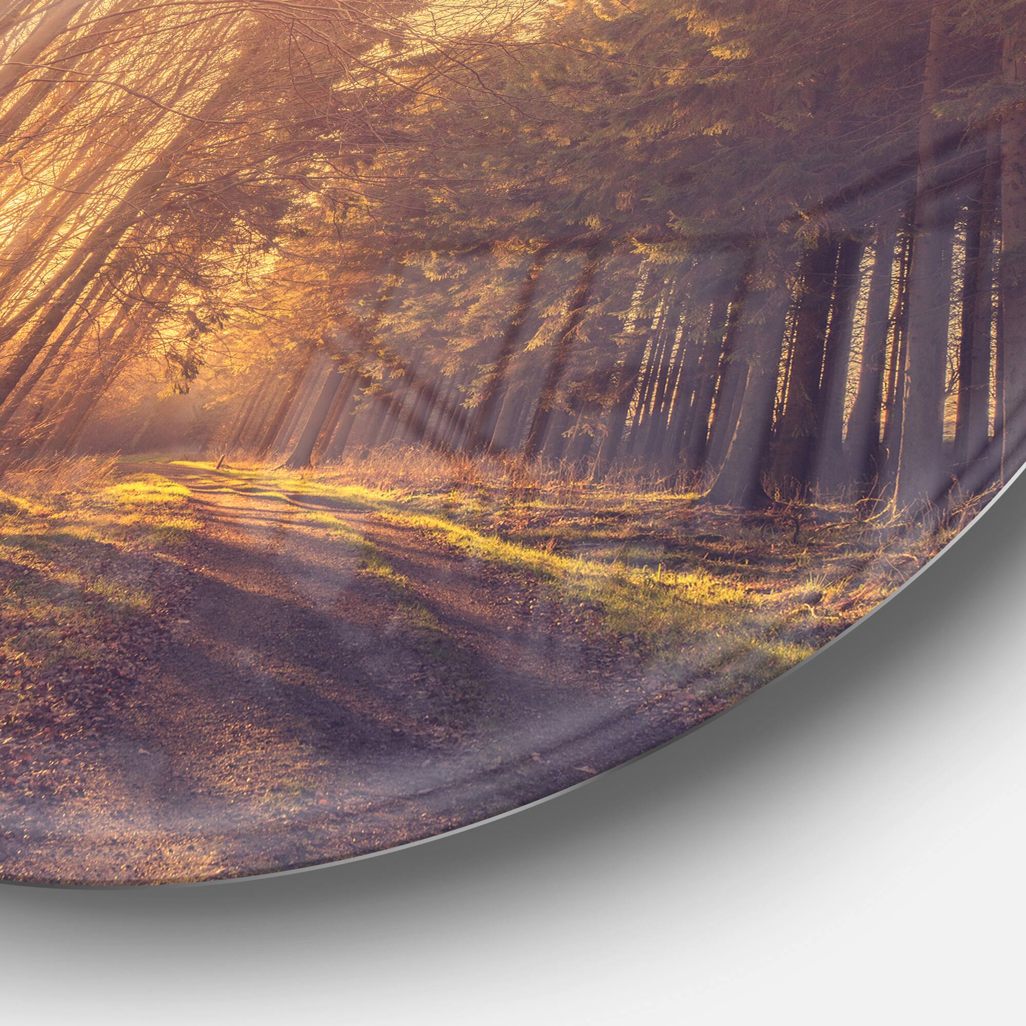 Designart - Pine Tree Forest by Road&#x27; Landscape Photo Circle Metal Wall Art