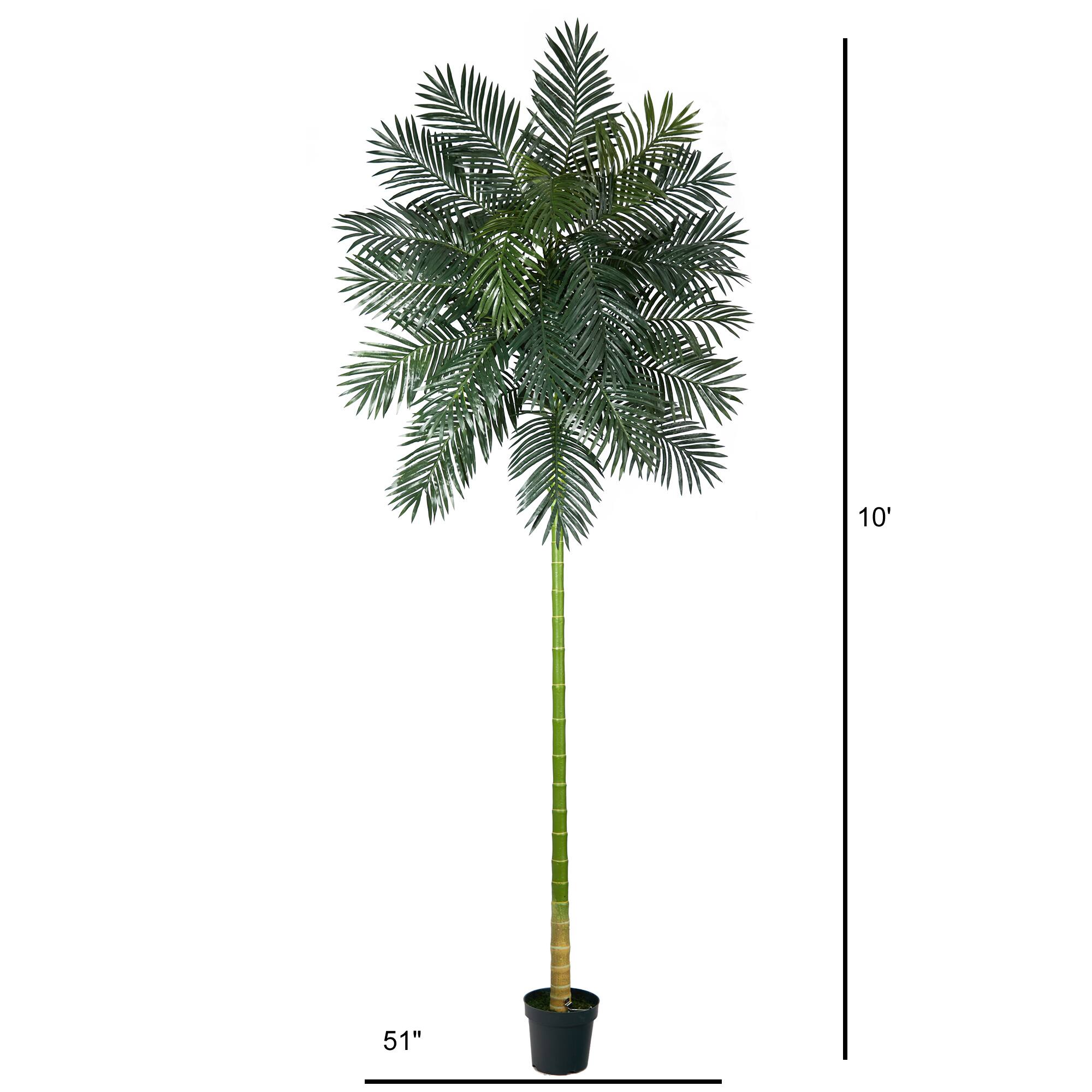 10ft. Potted Golden Cane Palm Tree