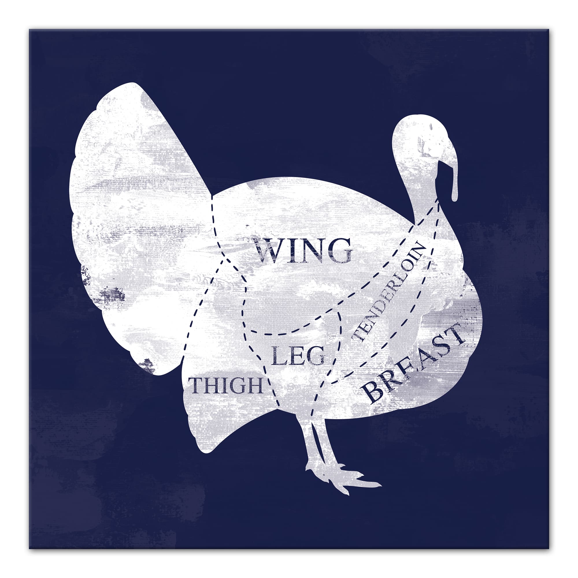 Turkey Anatomy Canvas Wall Art