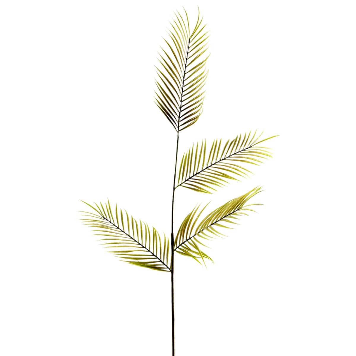 12 Pack: Green Tropical Areca Palm Stem by Ashland®